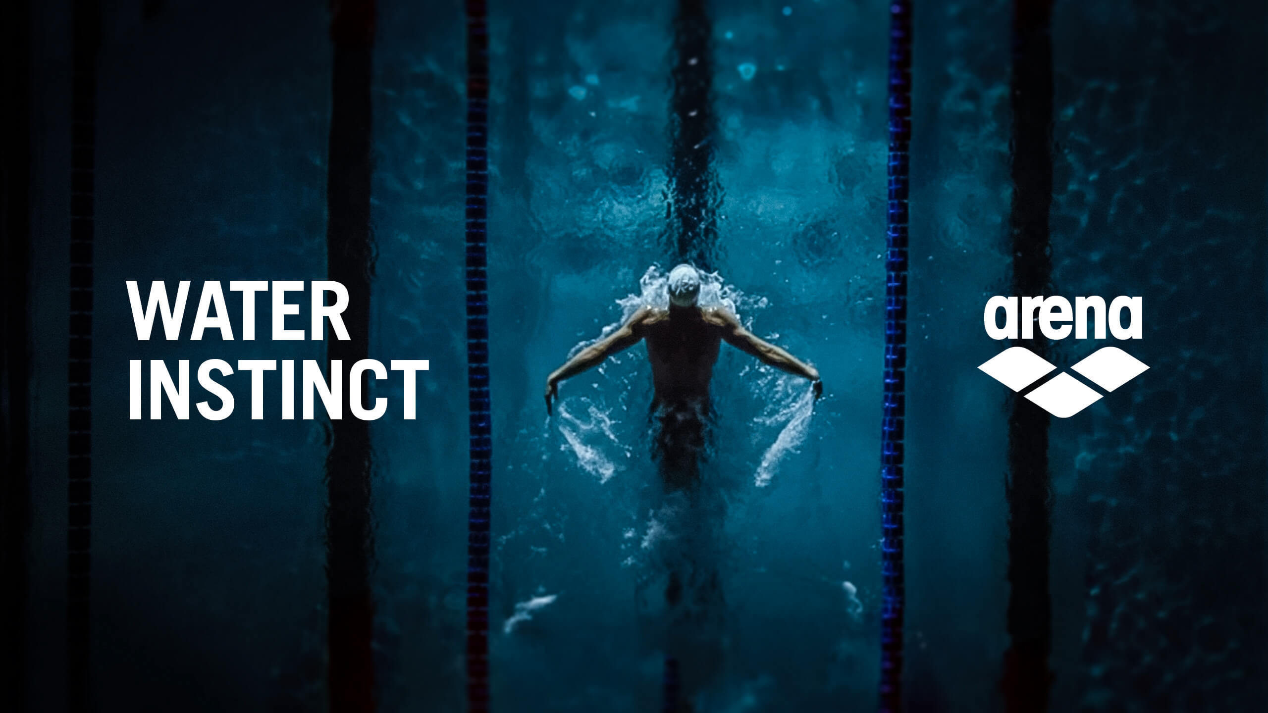 Обои Арена, купальник, марка, графика, графический дизайн в разрешении 2560x1440