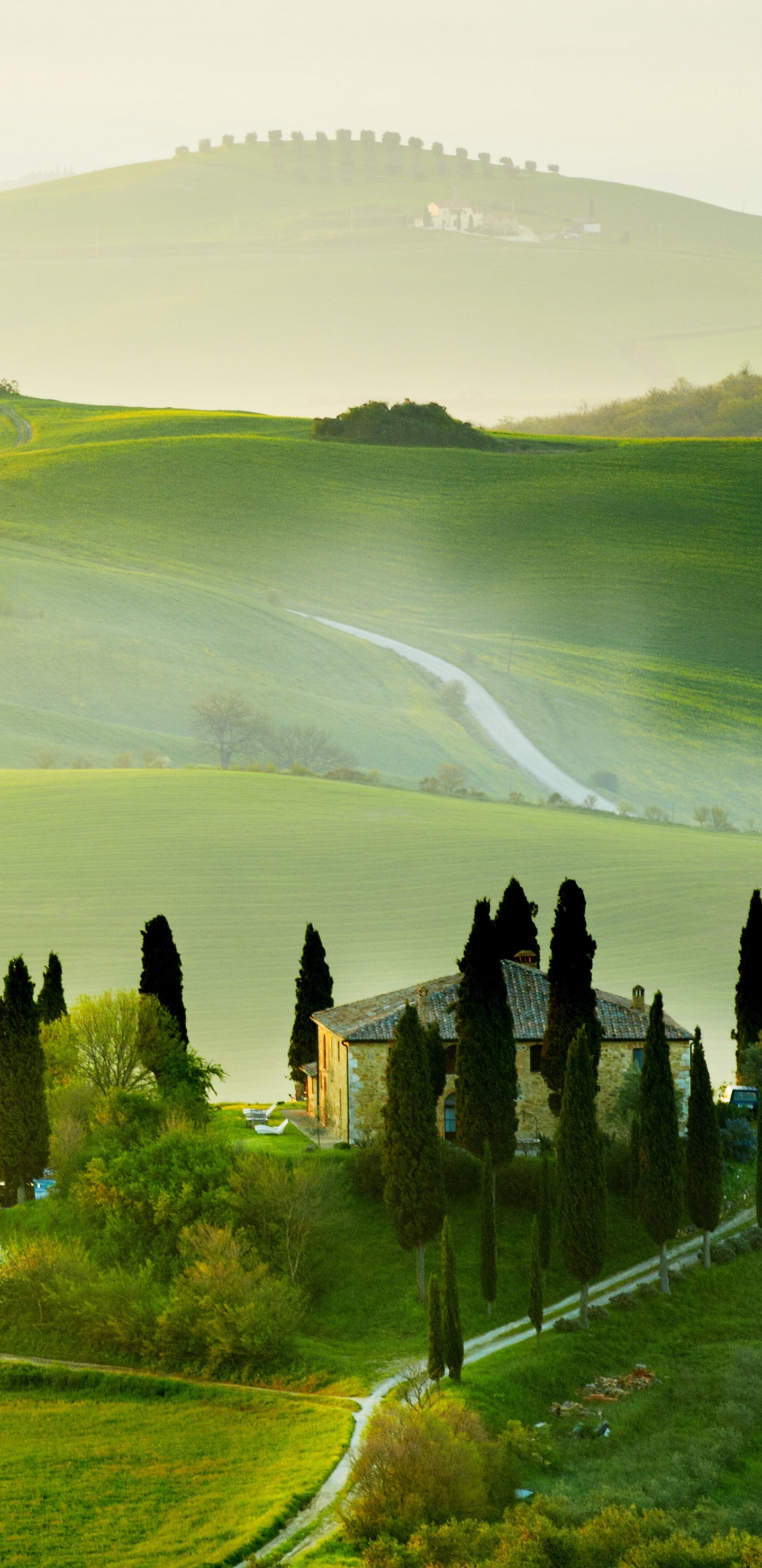 Обои природный ландшафт, природа, сенокосное угодье, зеленый, окружающая среда в разрешении 1440x2960