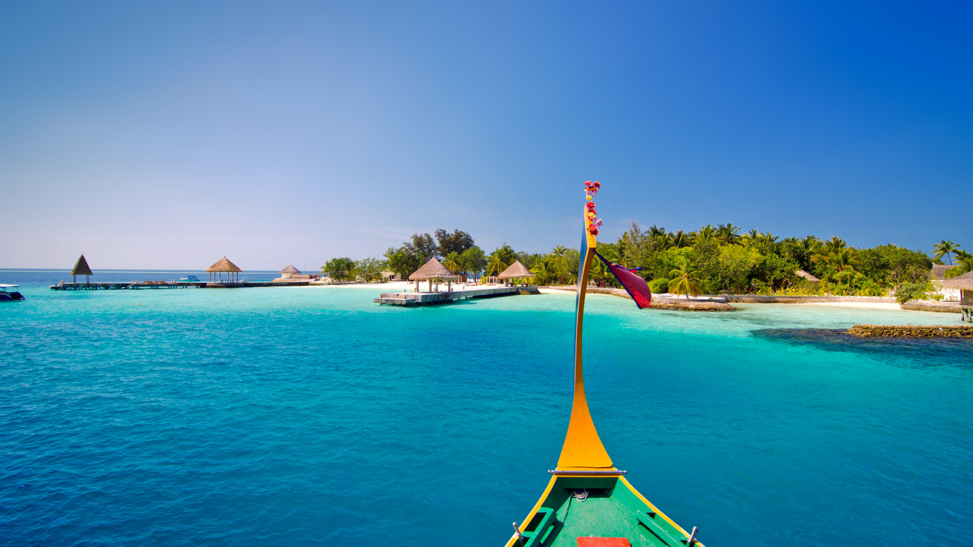 Обои прибежище, Джумейра, вода, море, тропическая зона в разрешении 1366x768