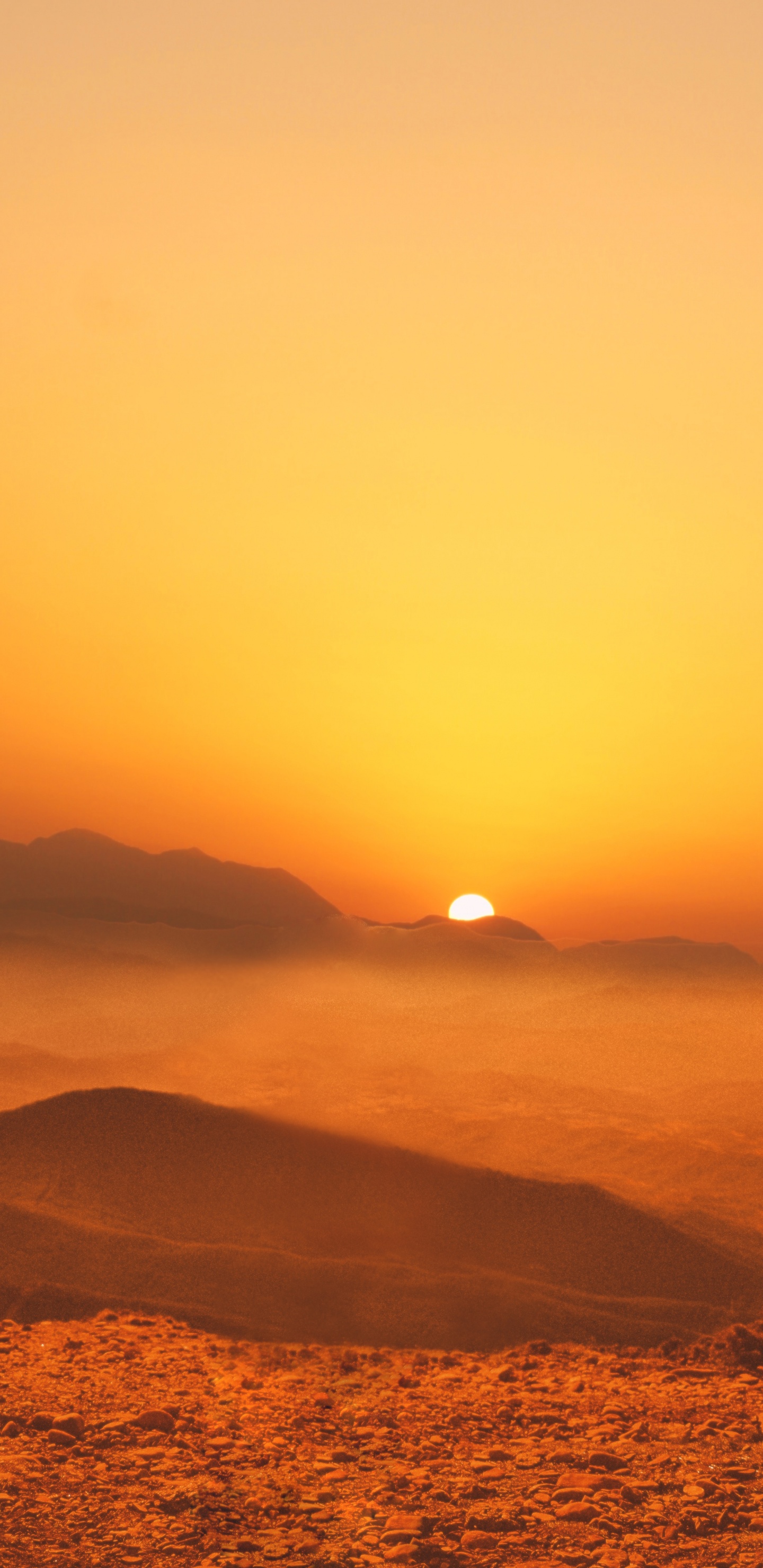 Обои закат, восход солнца, горизонт, послесвечение, Апельсин в разрешении 1440x2960