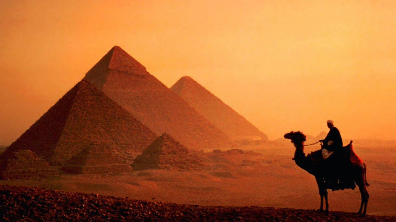 Обои Каир, Нил, пирамида, верблюд, арабский верблюд в разрешении 1280x720