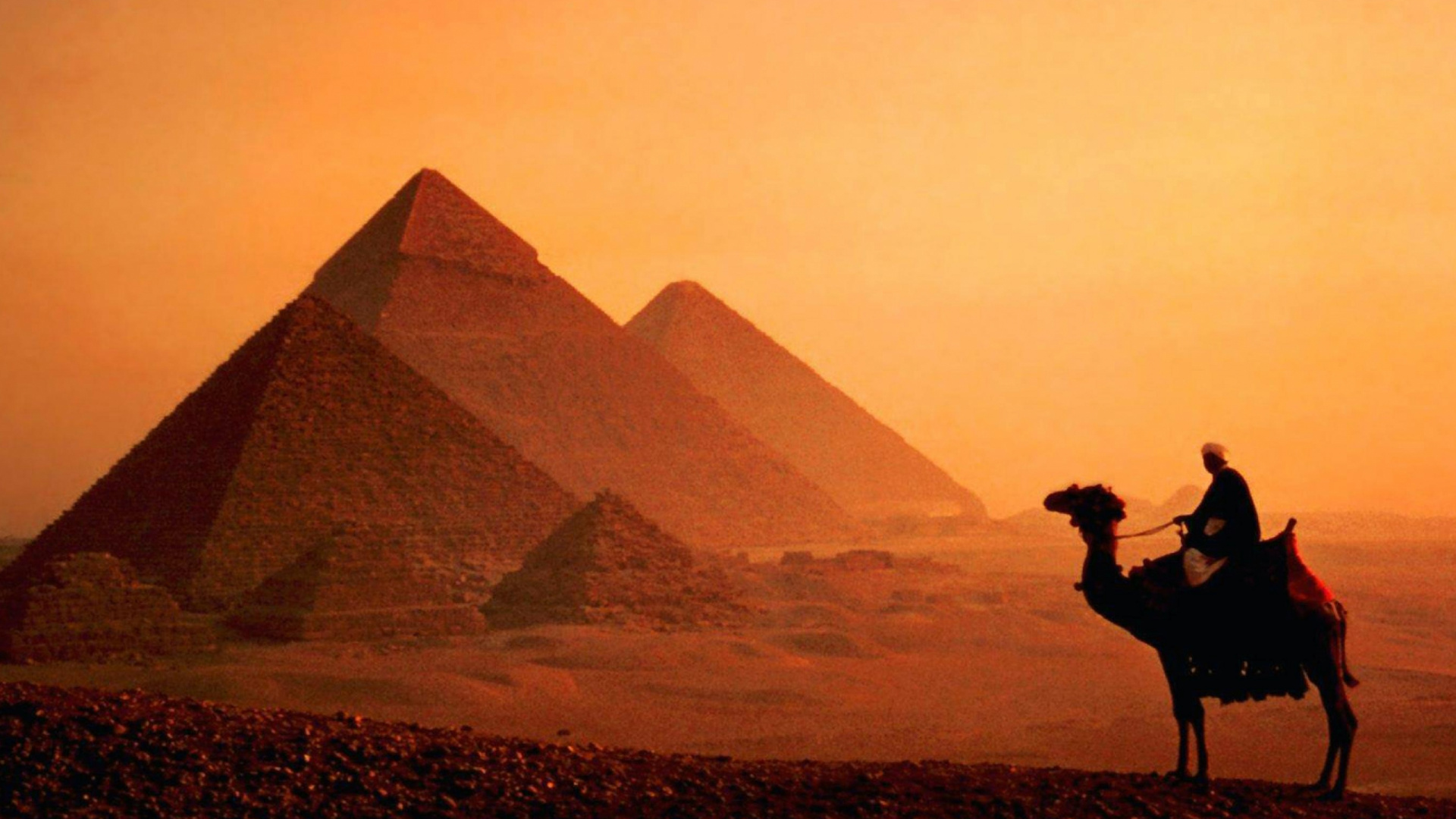 Обои Каир, Нил, пирамида, верблюд, арабский верблюд в разрешении 1920x1080