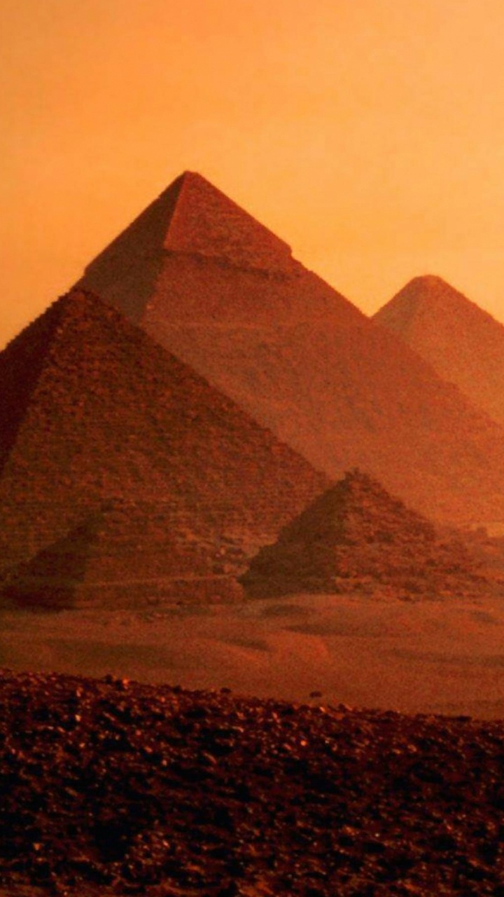 Обои Каир, Нил, пирамида, верблюд, арабский верблюд в разрешении 720x1280