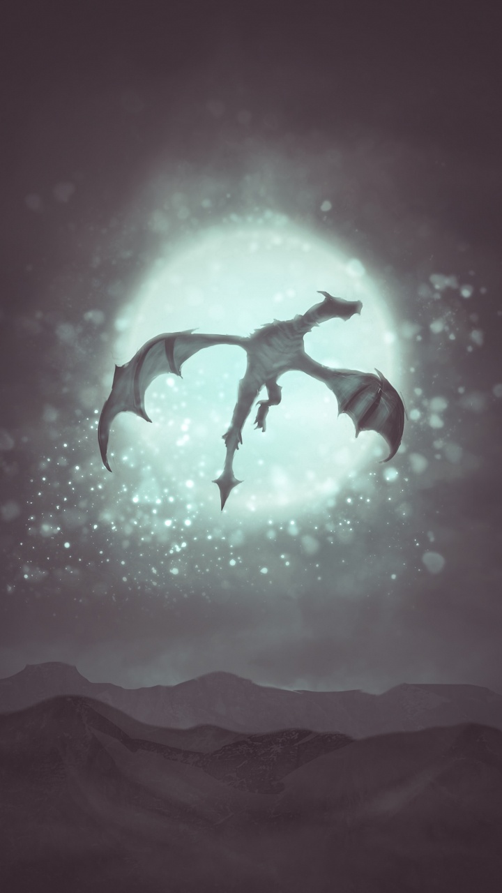 Обои дракон, иллюстрация, скачок, арт, фантастическое искусство в разрешении 720x1280