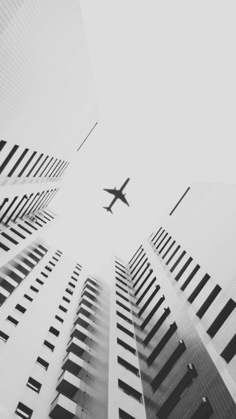 Обои самолет, самолеты, черный и белый, монохромный, белые в разрешении 750x1334