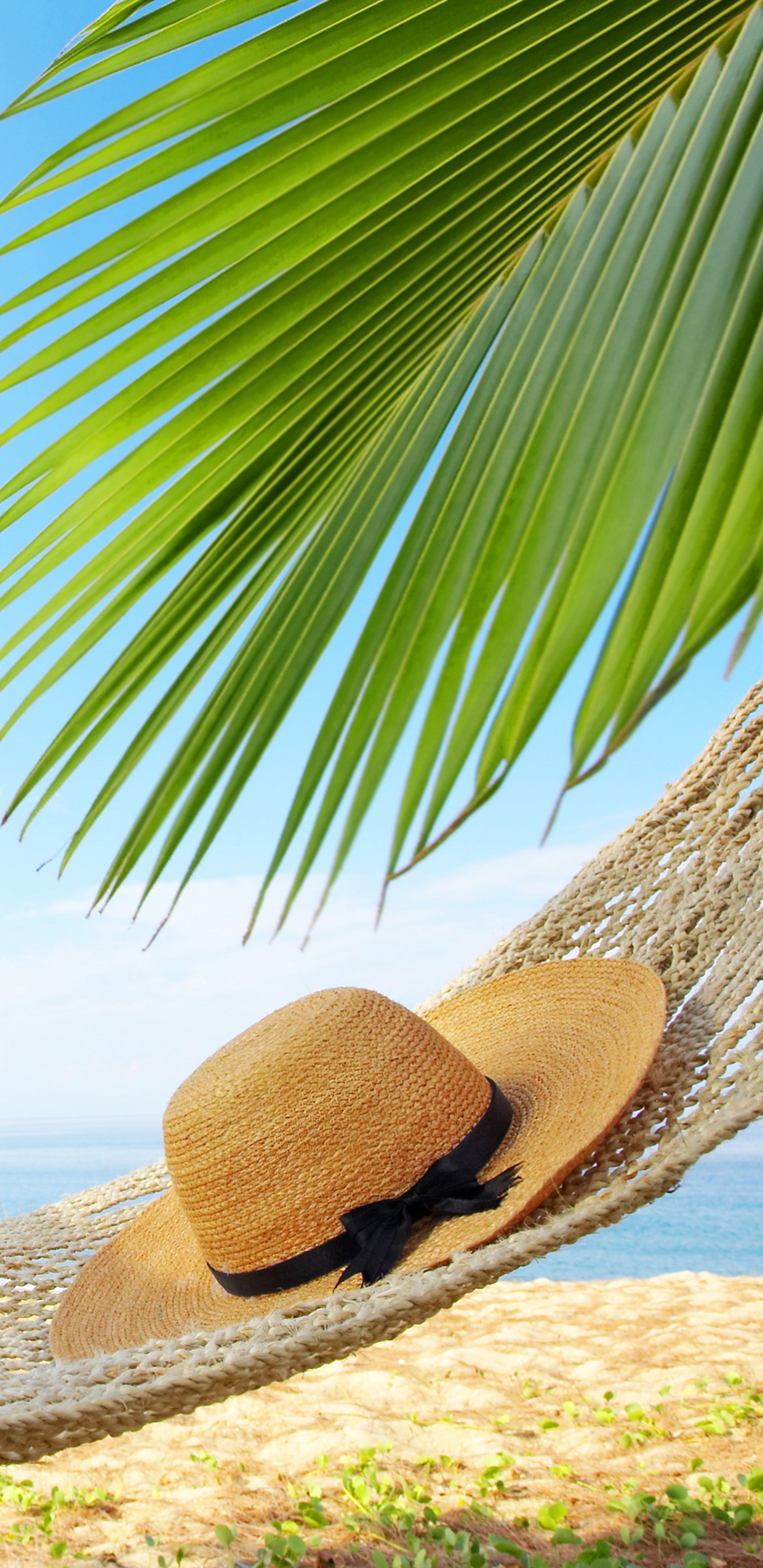 Обои отпуск, пляж, лето, гамак, дерево в разрешении 1440x2960