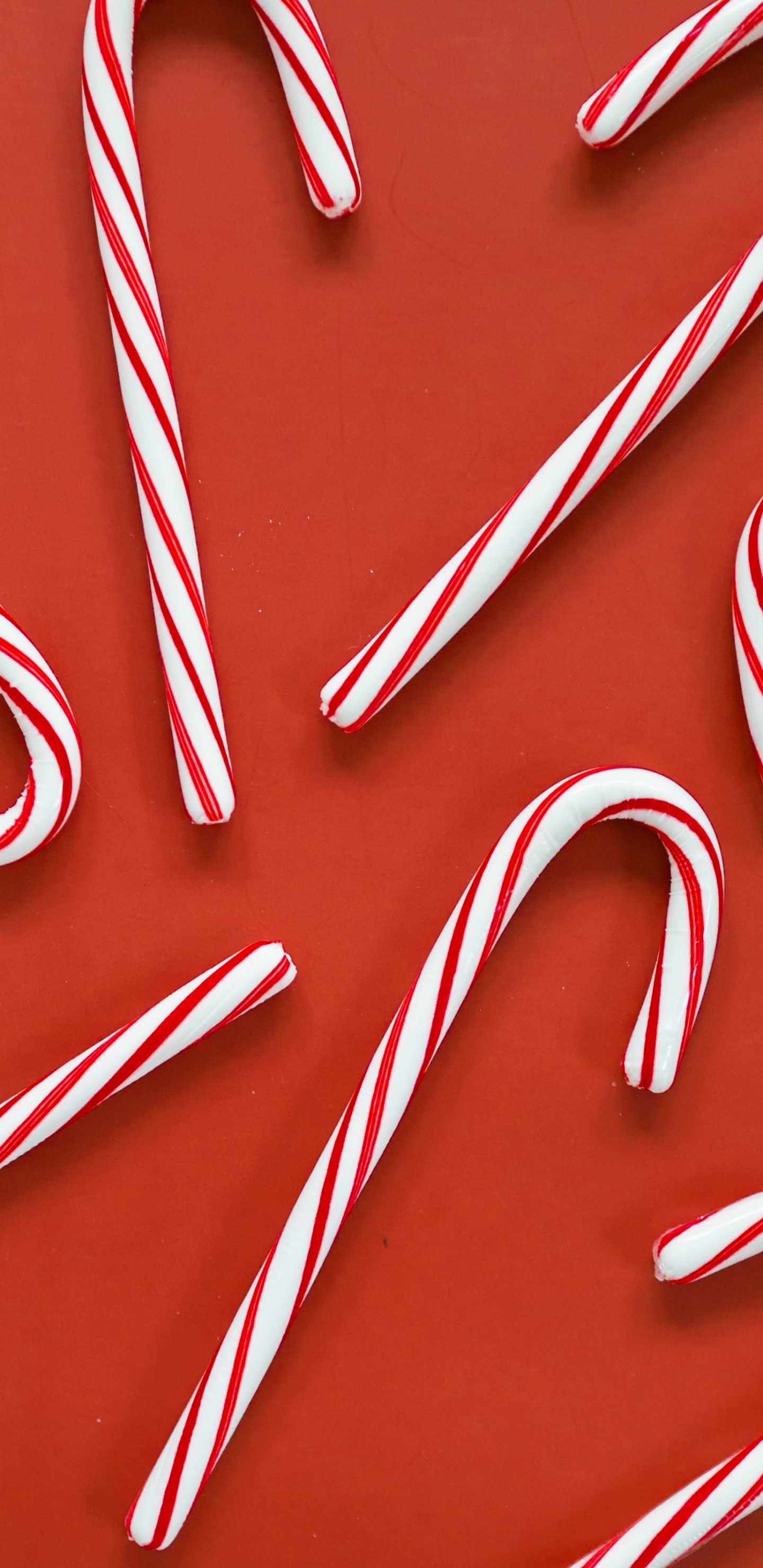 Обои праздник, Рождество, Колби Естественного Здоровья, кондитерские изделия, В дословном переводе в разрешении 1440x2960