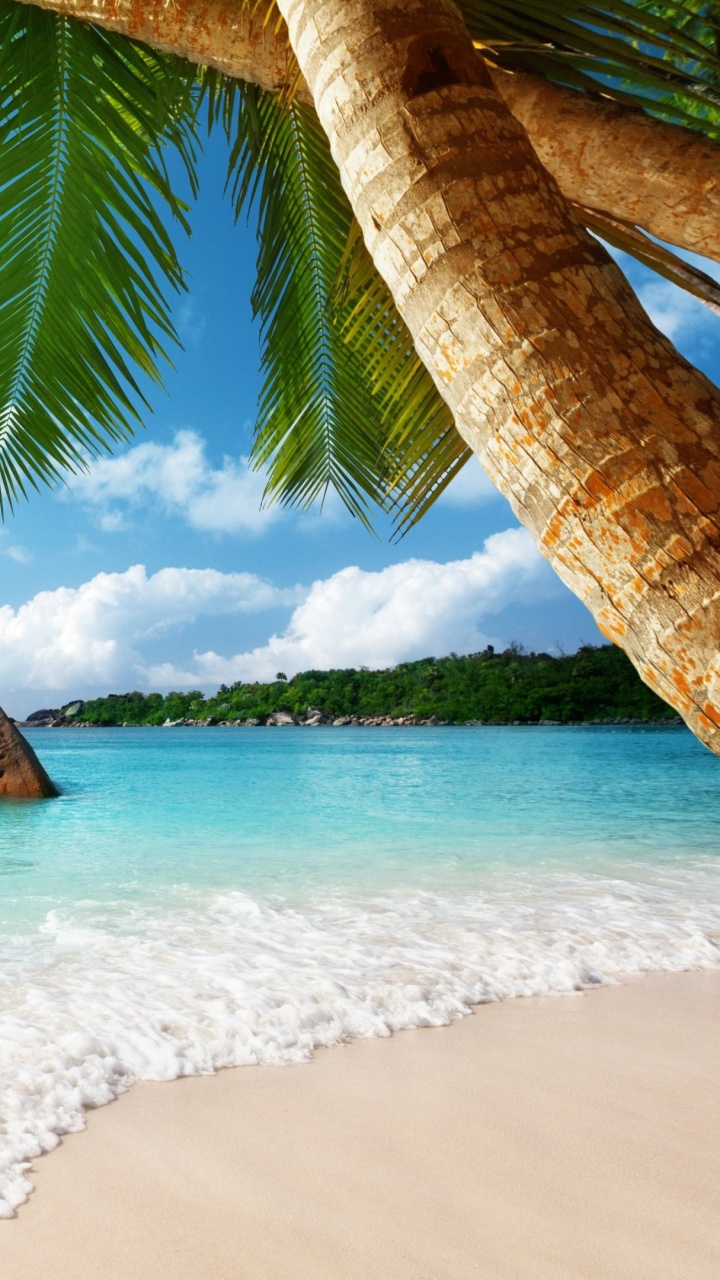 Обои пляж, океан, море, природа, тропическая зона в разрешении 720x1280