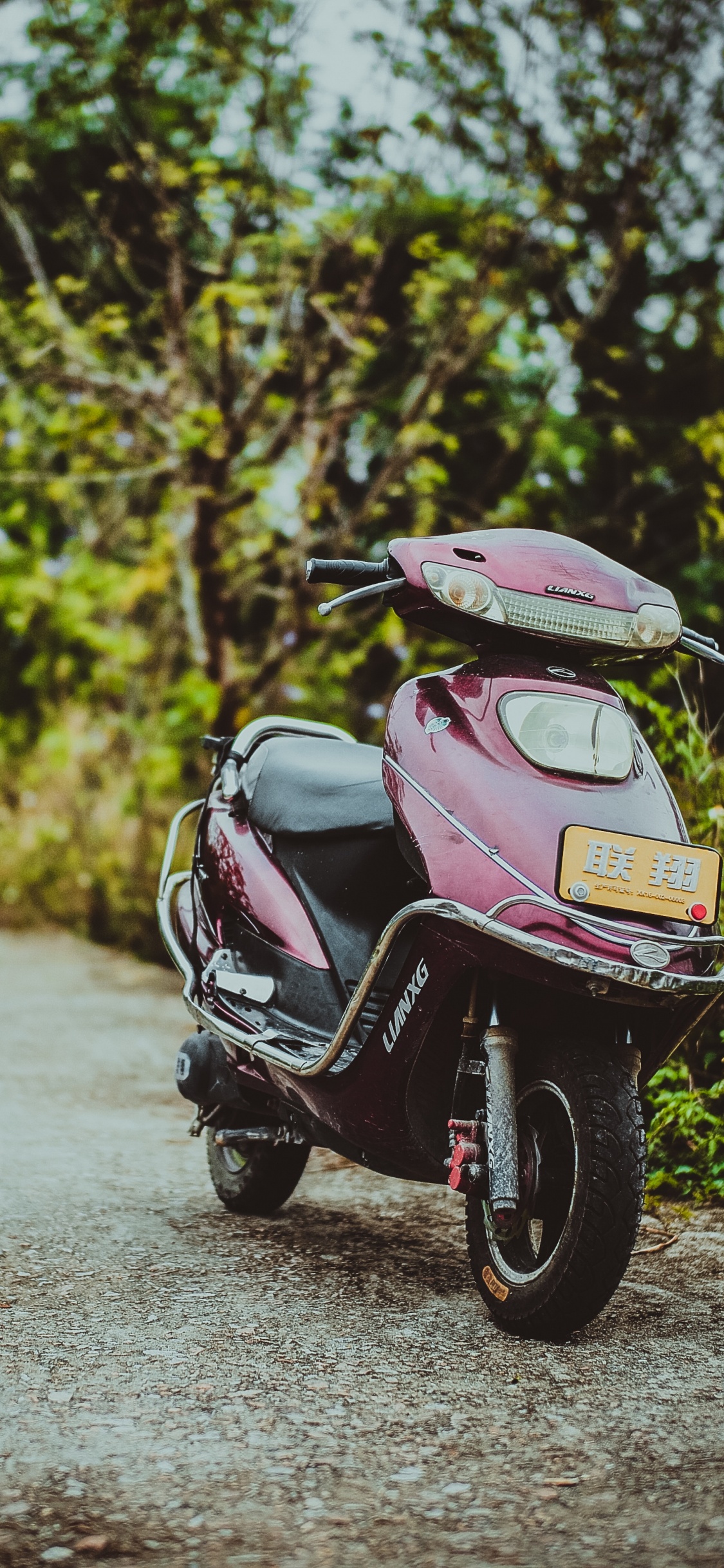 Обои Скутер, мотоцикл, мопед, авто, дерево в разрешении 1125x2436