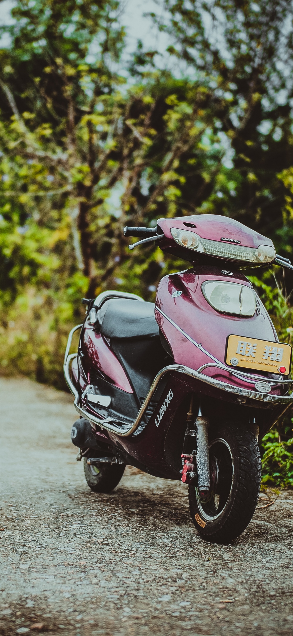 Обои Скутер, мотоцикл, мопед, авто, дерево в разрешении 1242x2688