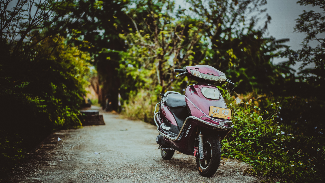 Обои Скутер, мотоцикл, мопед, авто, дерево в разрешении 1280x720