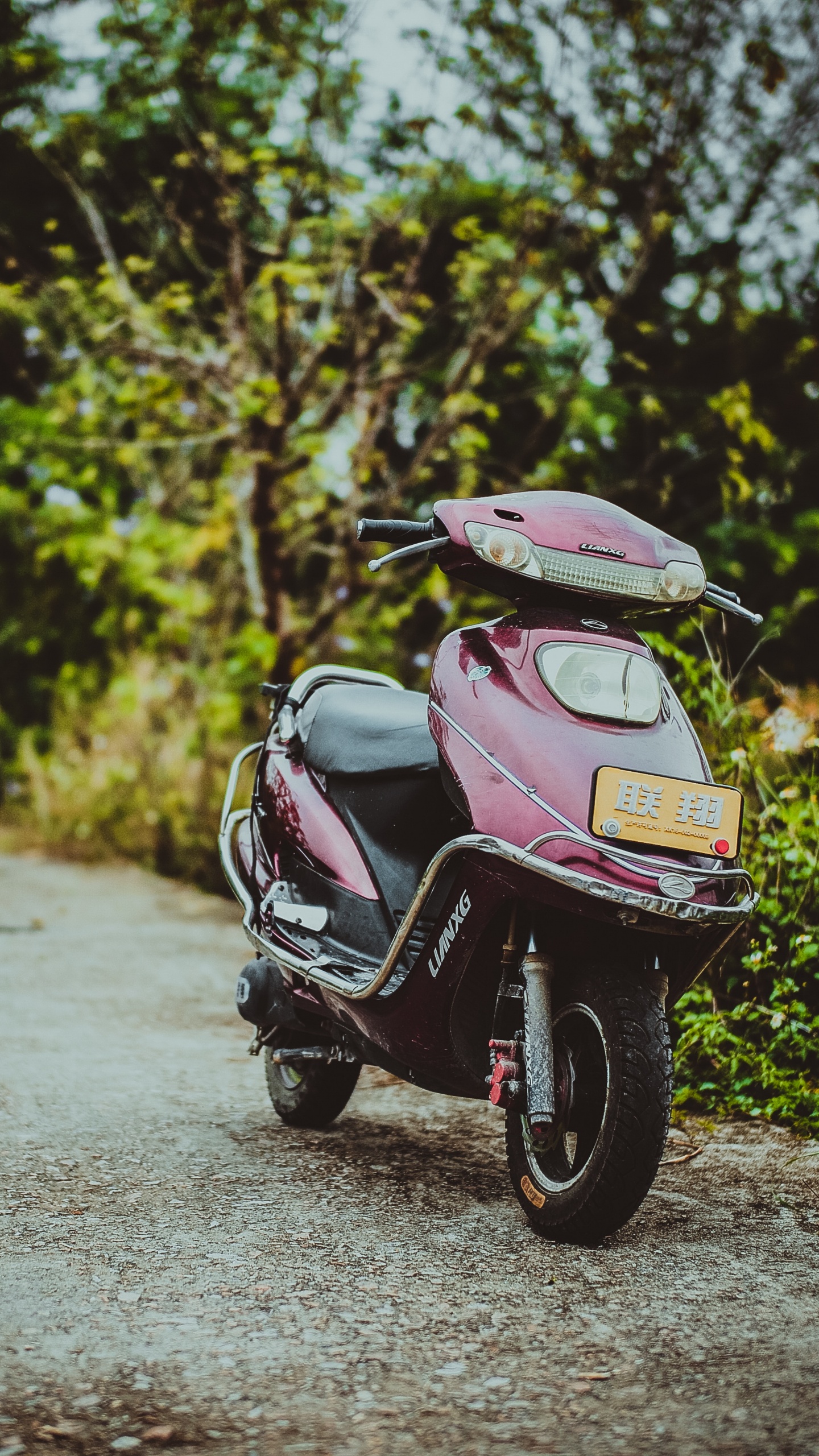 Обои Скутер, мотоцикл, мопед, авто, дерево в разрешении 1440x2560