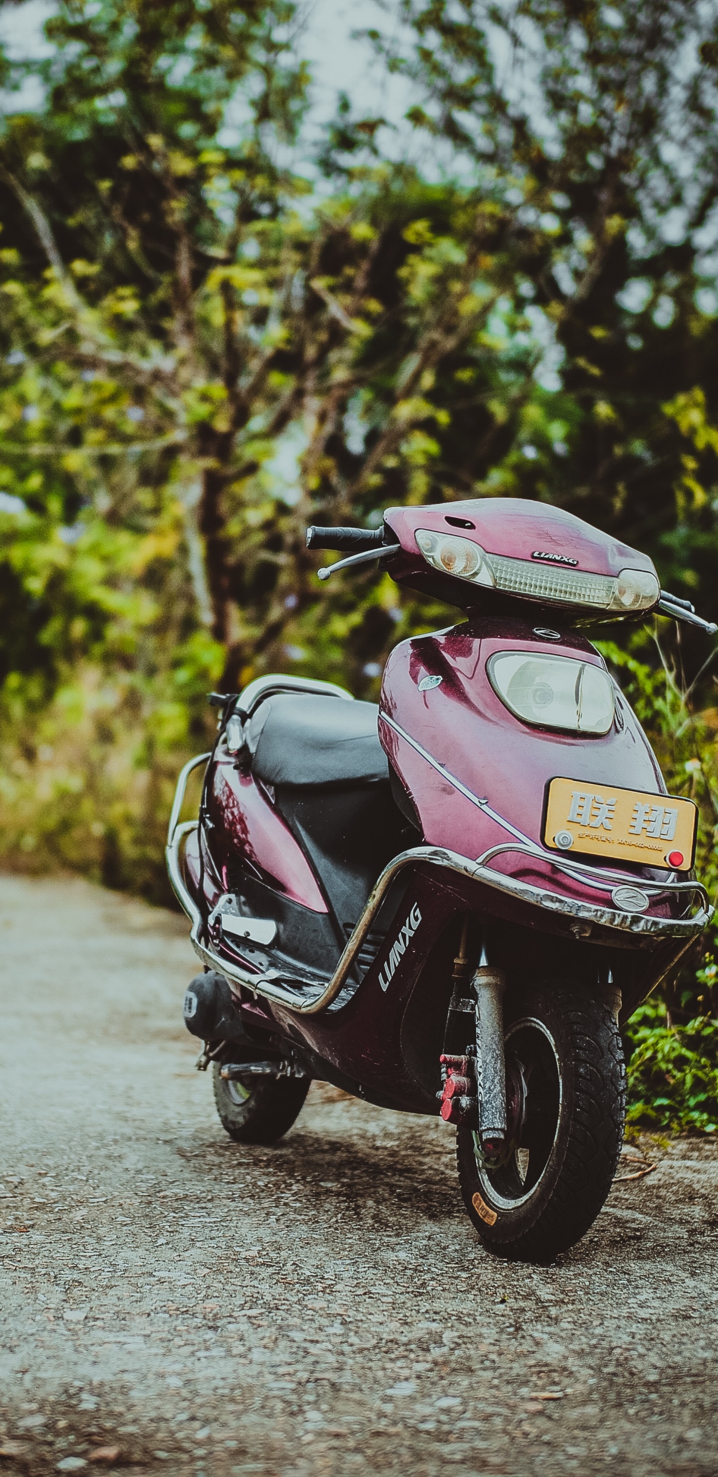 Обои Скутер, мотоцикл, мопед, авто, дерево в разрешении 1440x2960