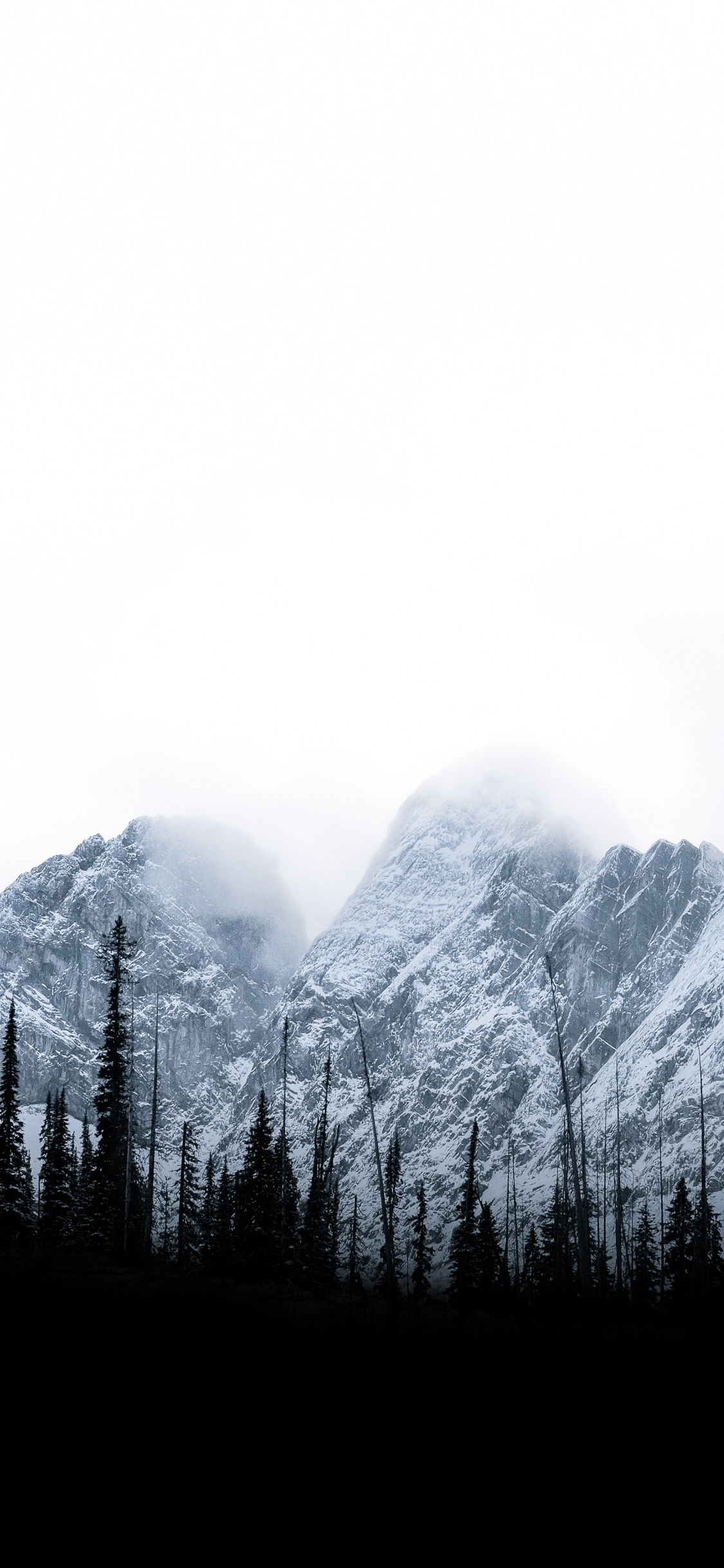 Обои дерево, природа, небо, горный рельеф, Коричневые Горы в разрешении 1125x2436