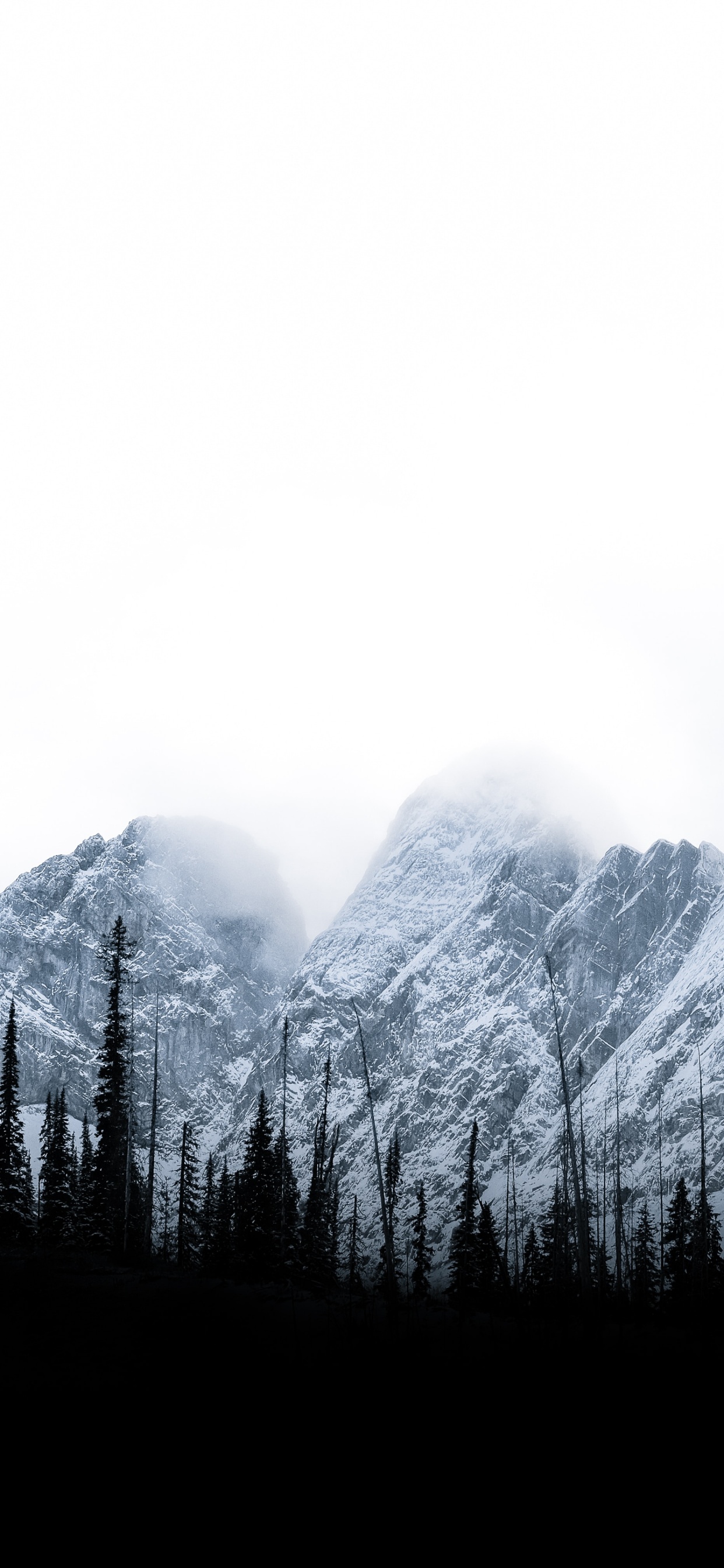 Обои дерево, природа, небо, горный рельеф, Коричневые Горы в разрешении 1242x2688