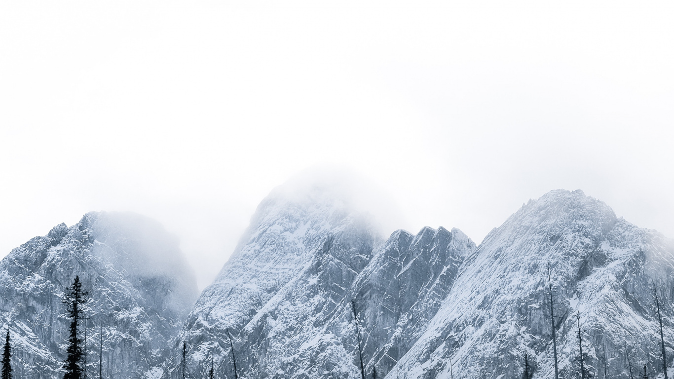 Обои дерево, природа, небо, горный рельеф, Коричневые Горы в разрешении 1366x768