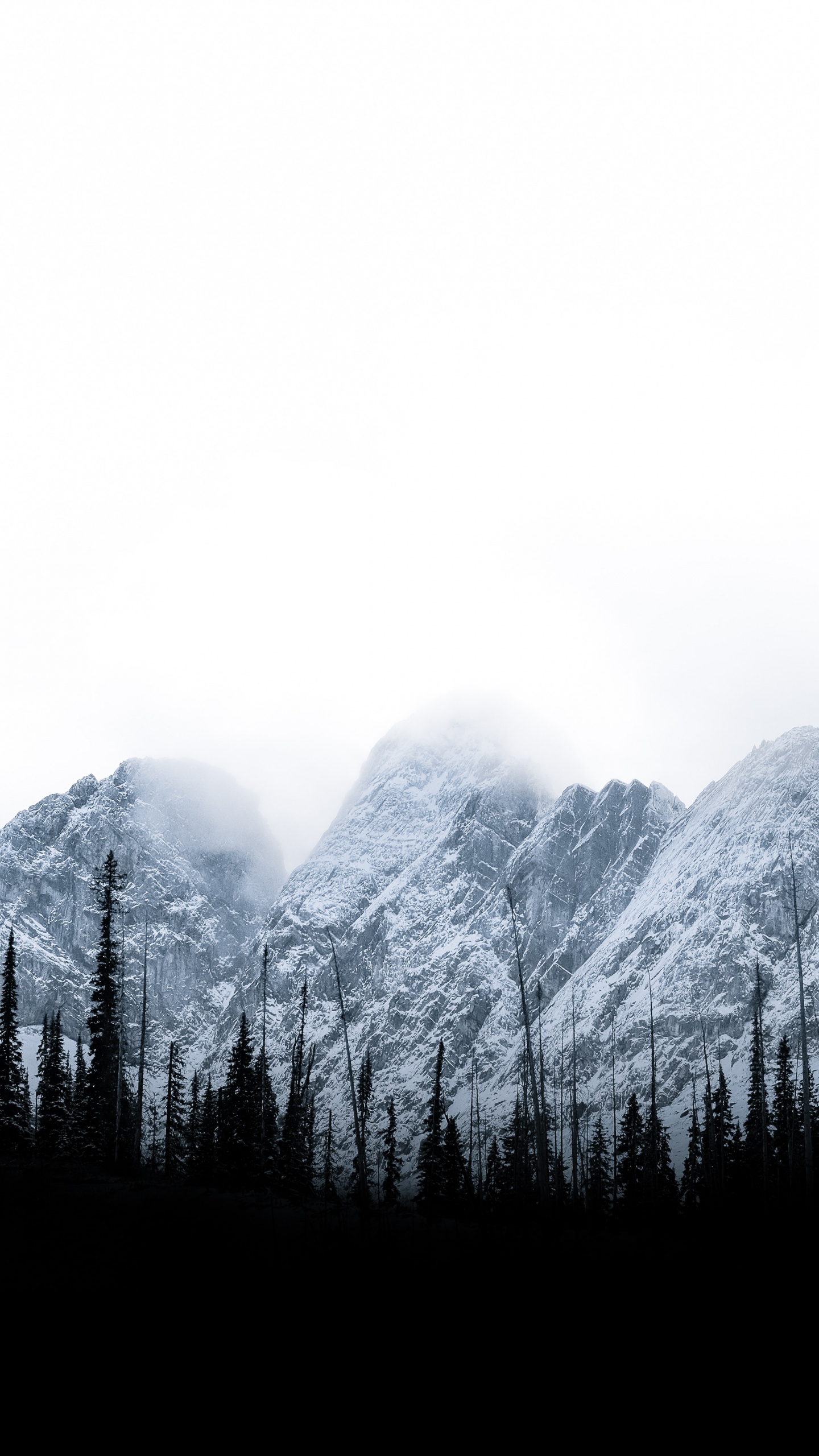 Обои дерево, природа, небо, горный рельеф, Коричневые Горы в разрешении 1440x2560