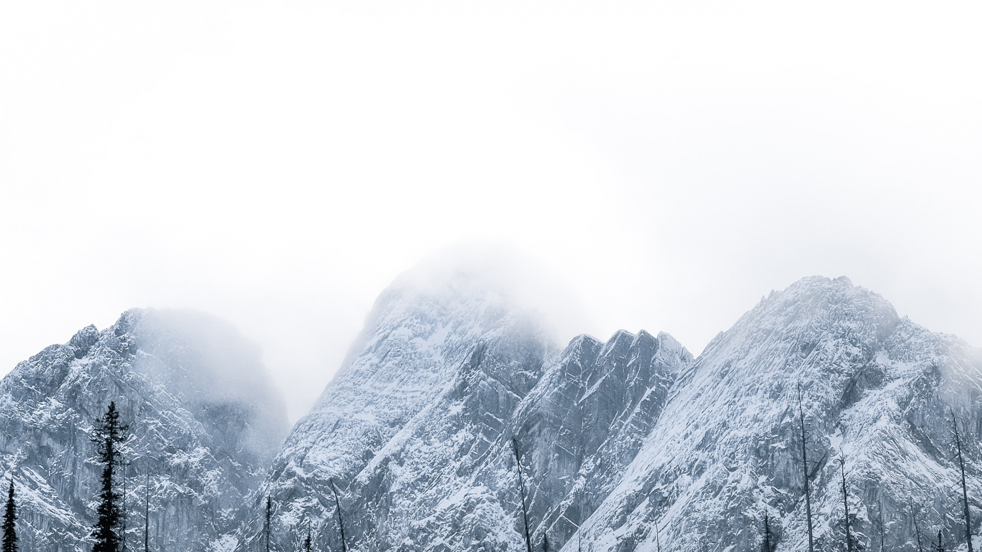 Обои дерево, природа, небо, горный рельеф, Коричневые Горы в разрешении 1920x1080