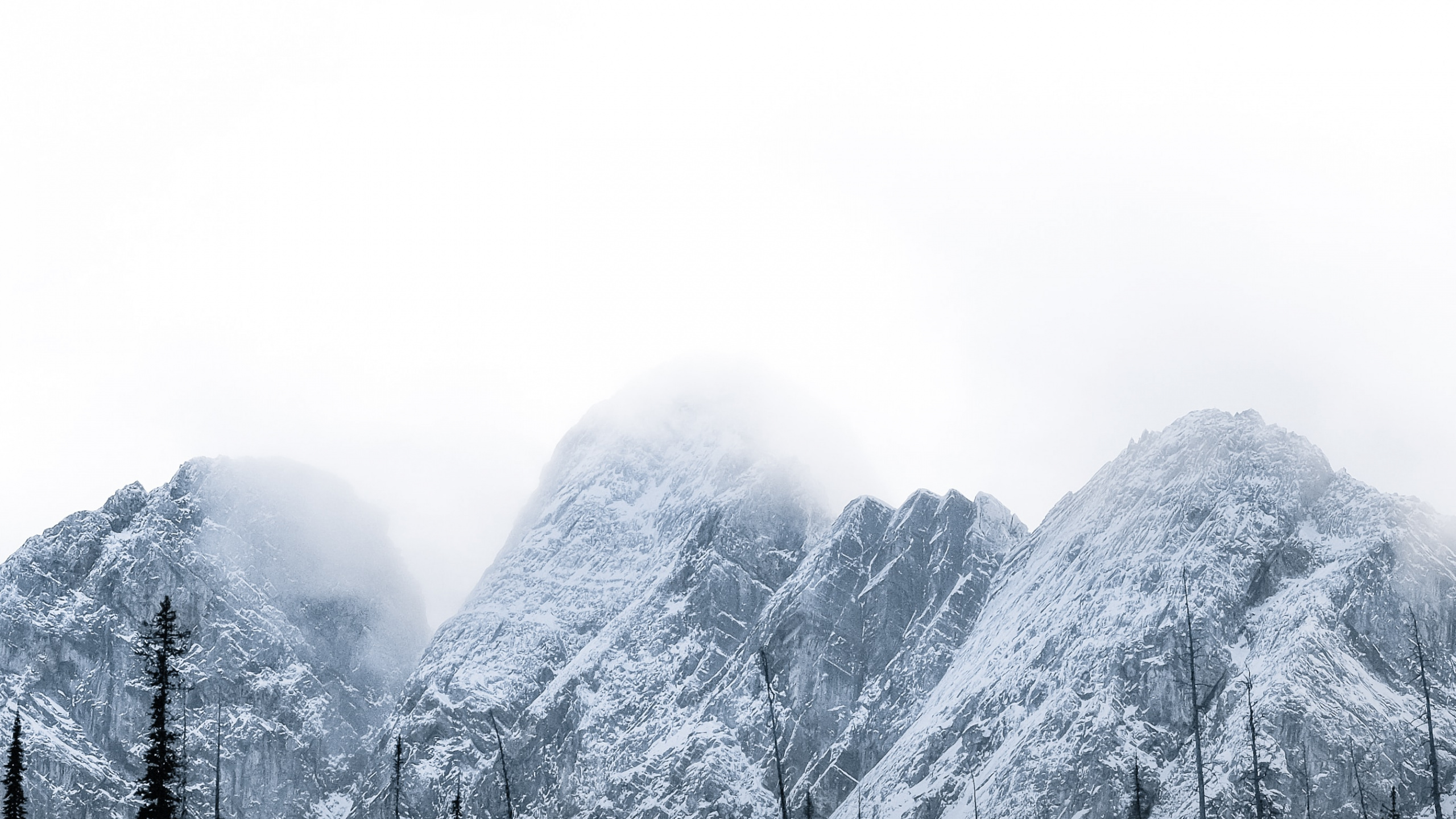 Обои дерево, природа, небо, горный рельеф, Коричневые Горы в разрешении 2560x1440