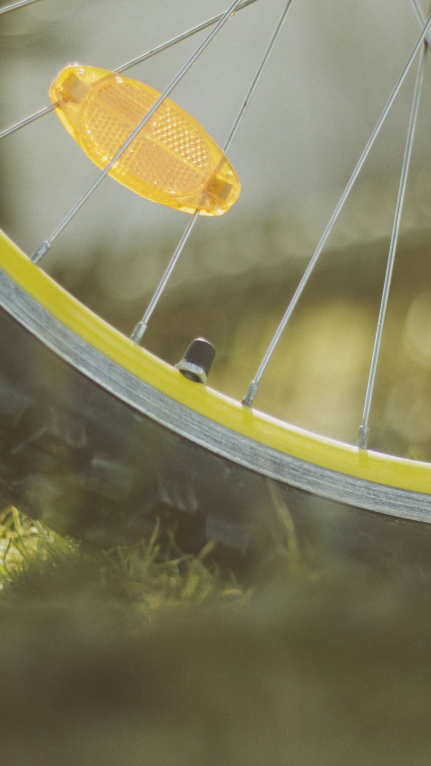Обои велосипед, колесо, велосипедная шина, спица, велосипедное колесо в разрешении 1440x2560