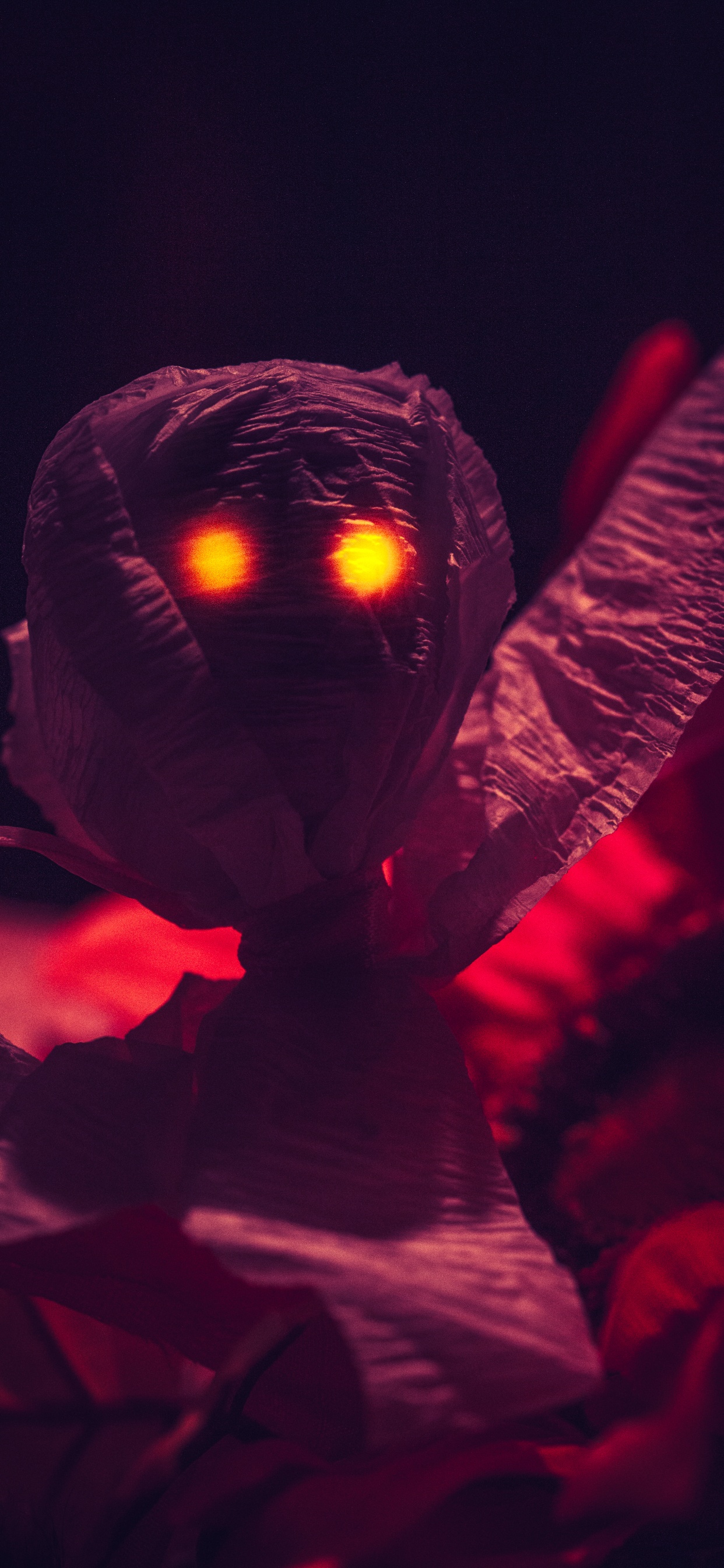 Обои красный цвет, пурпур, свет, Фиолетовый, темнота в разрешении 1242x2688