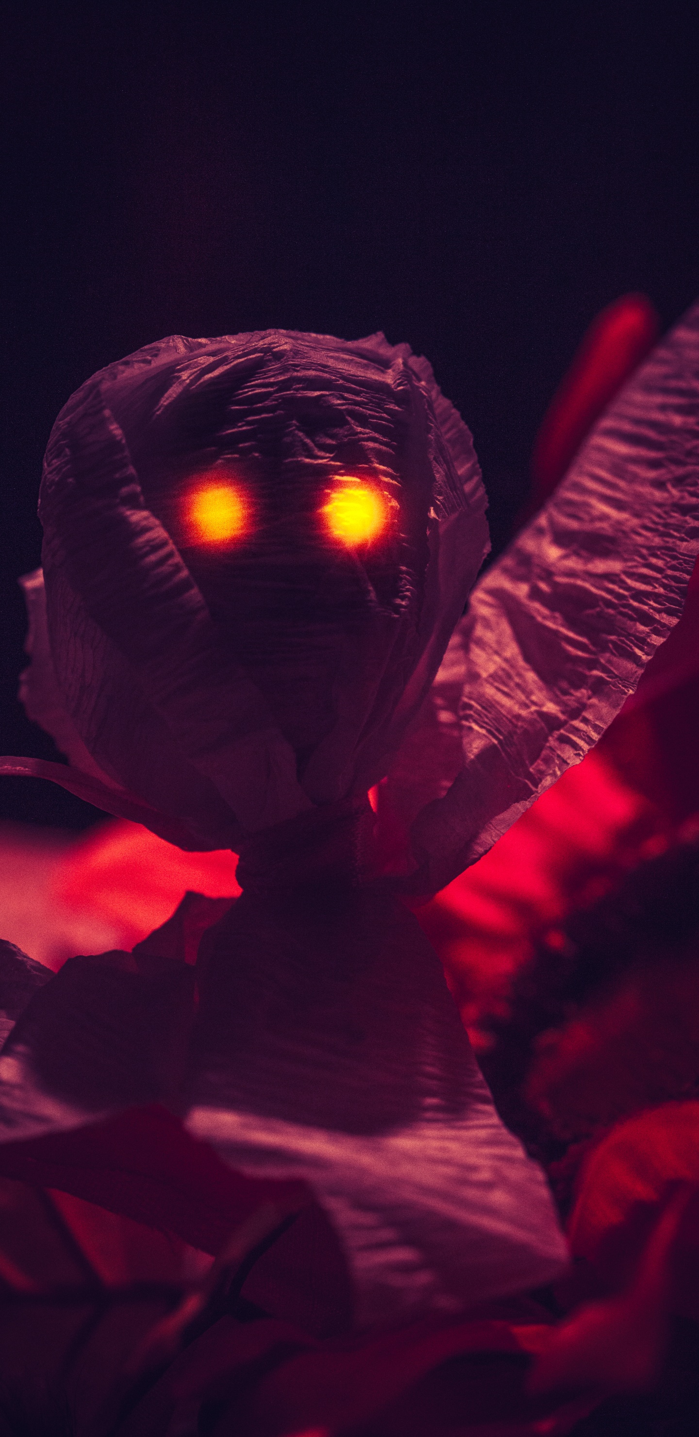 Обои красный цвет, пурпур, свет, Фиолетовый, темнота в разрешении 1440x2960