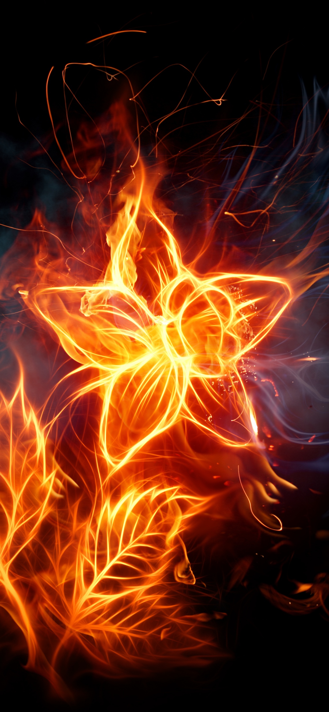 Обои огненный цветок, огонь, цветок, пламя, тепло в разрешении 1242x2688