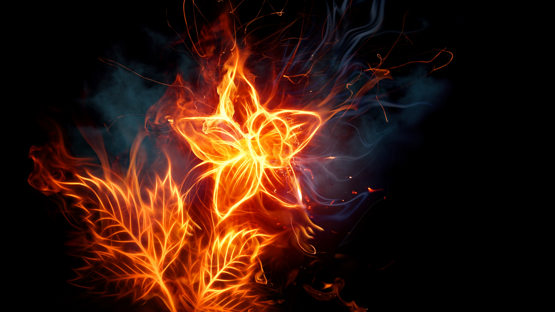 Обои огненный цветок, огонь, цветок, пламя, тепло в разрешении 1920x1080