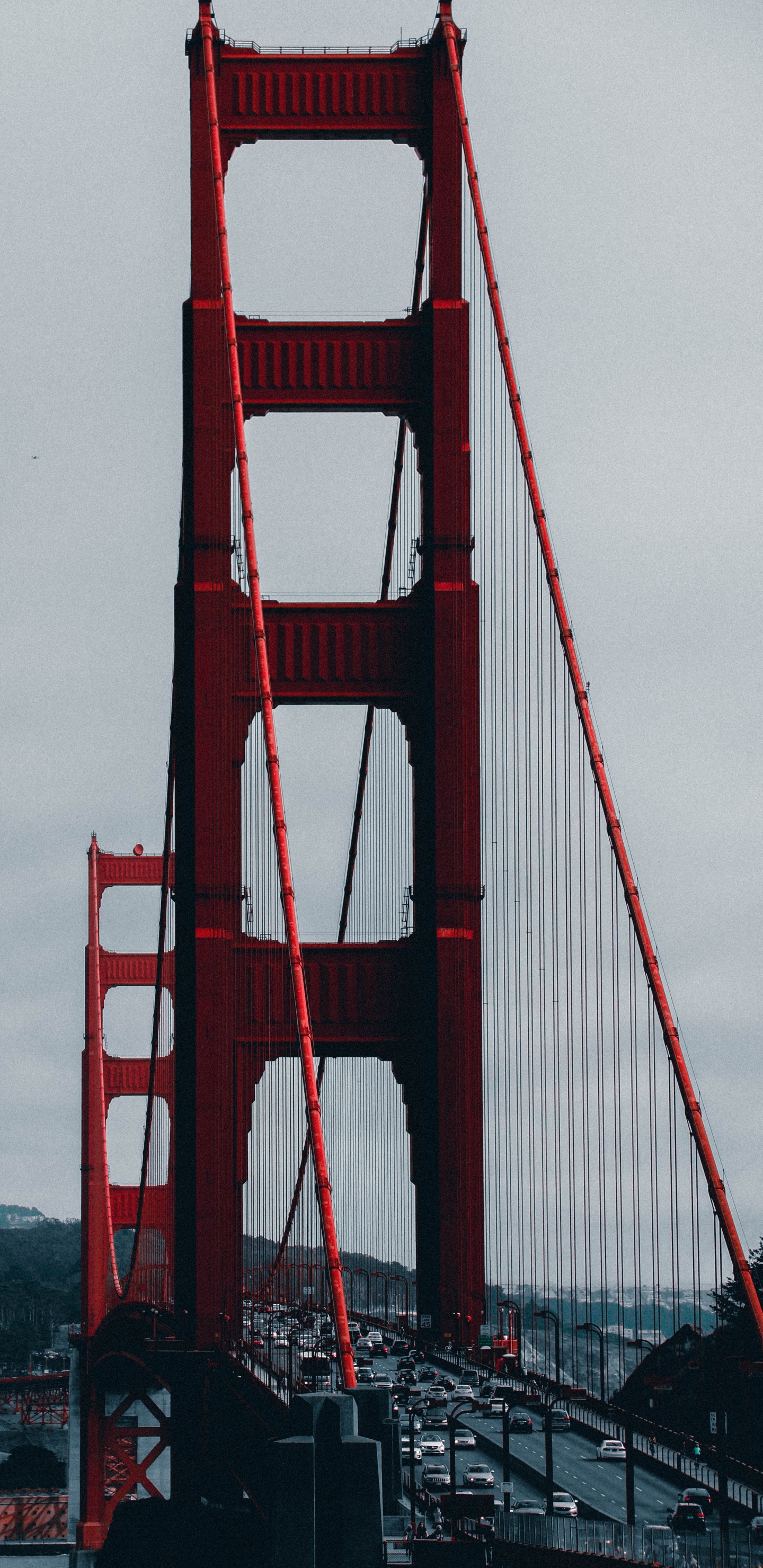 Обои мост Golden Gate, мост, подвесной мост, ориентир, вантовый мост в разрешении 1440x2960