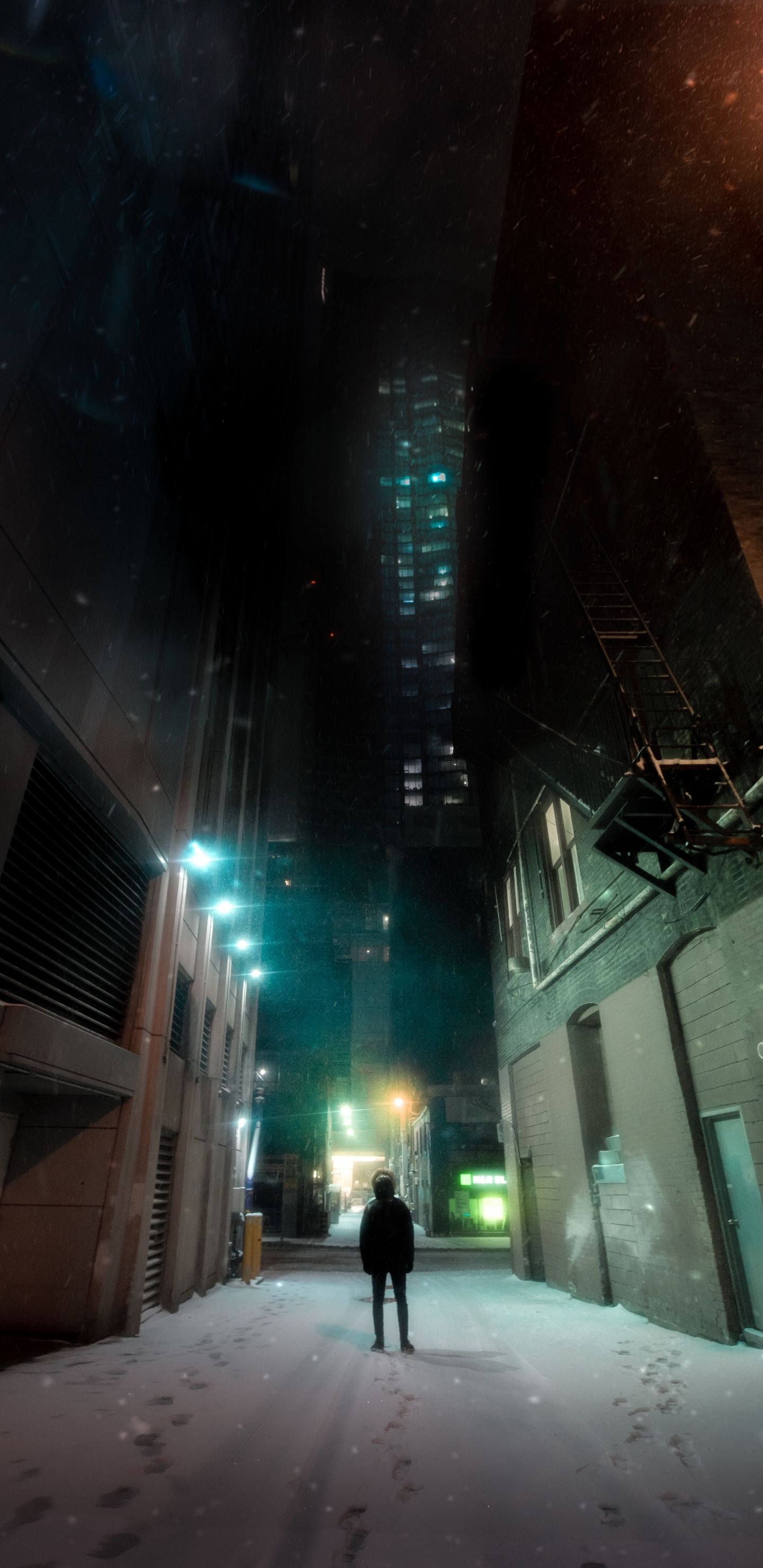 Обои ночь, снег, свет, освещение, зима в разрешении 1440x2960