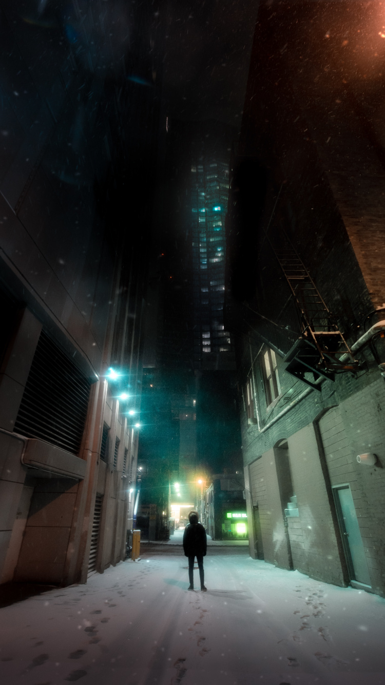 Обои ночь, снег, свет, освещение, зима в разрешении 750x1334