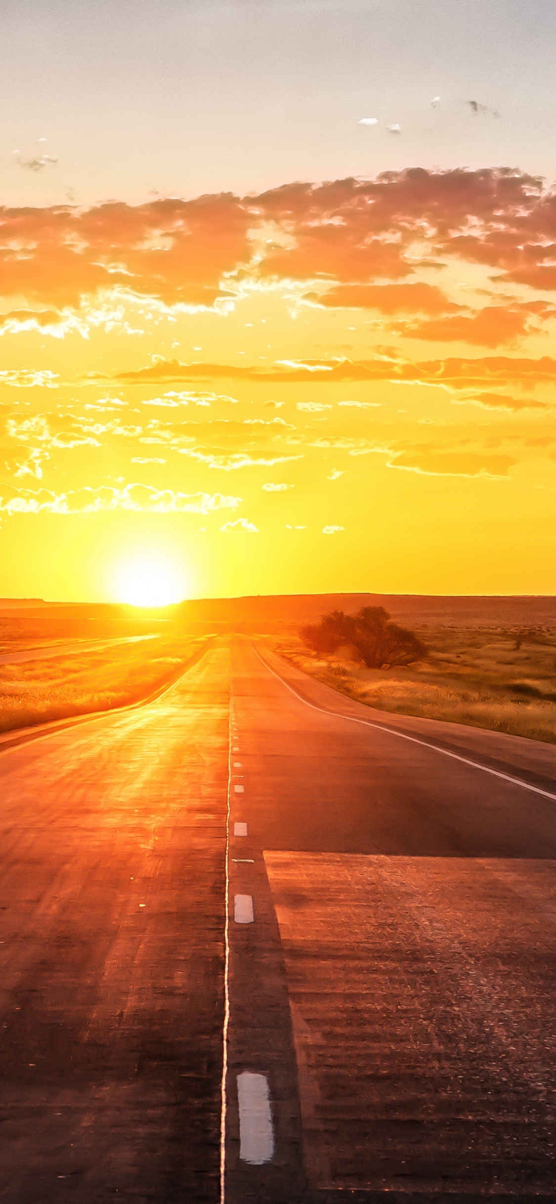 Обои прямая дорога с закатом, закат, дорога, облако, атмосфера в разрешении 1125x2436