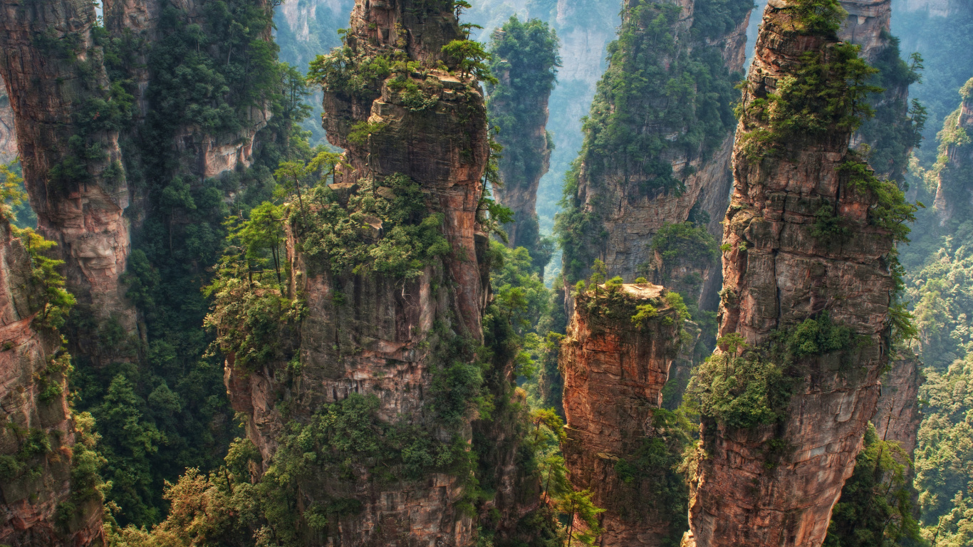 Обои Горы Тяньцзи, природа, растительность, природный заповедник, дерево в разрешении 1366x768