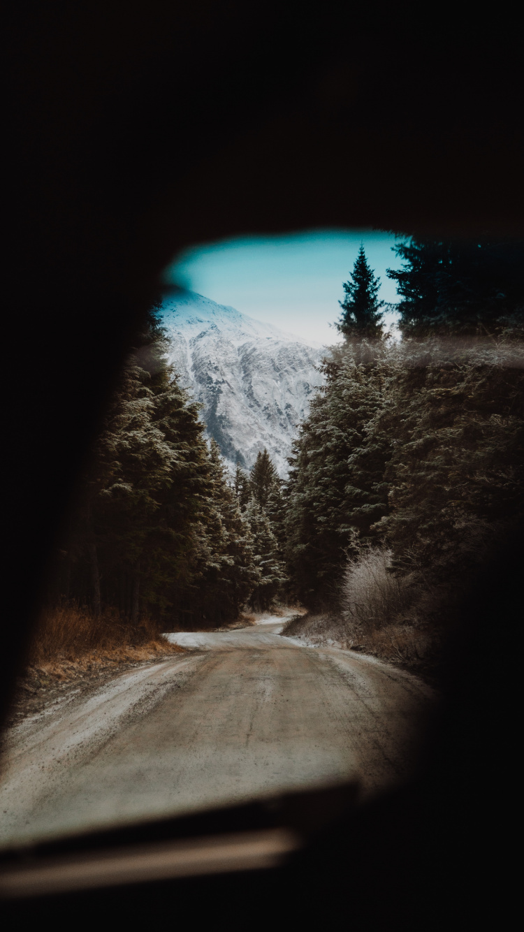 Обои снег, дерево, зима, темнота, дорога в разрешении 750x1334