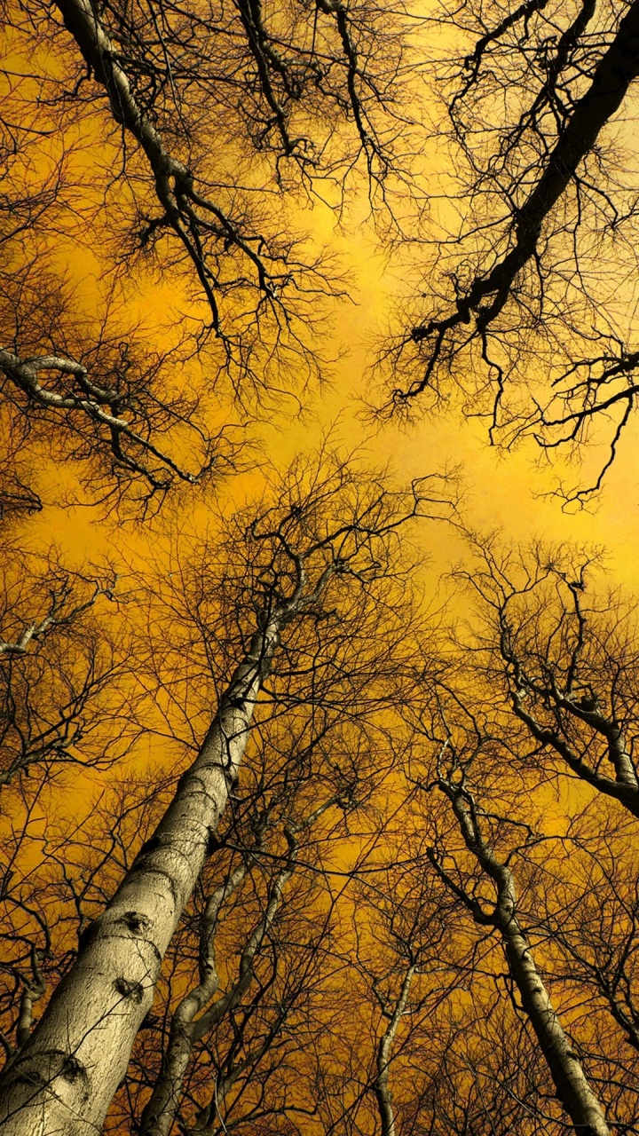 Обои UMiDIGI, UMiDIGI Crystal, надежда f2, андроид, смартфон в разрешении 720x1280