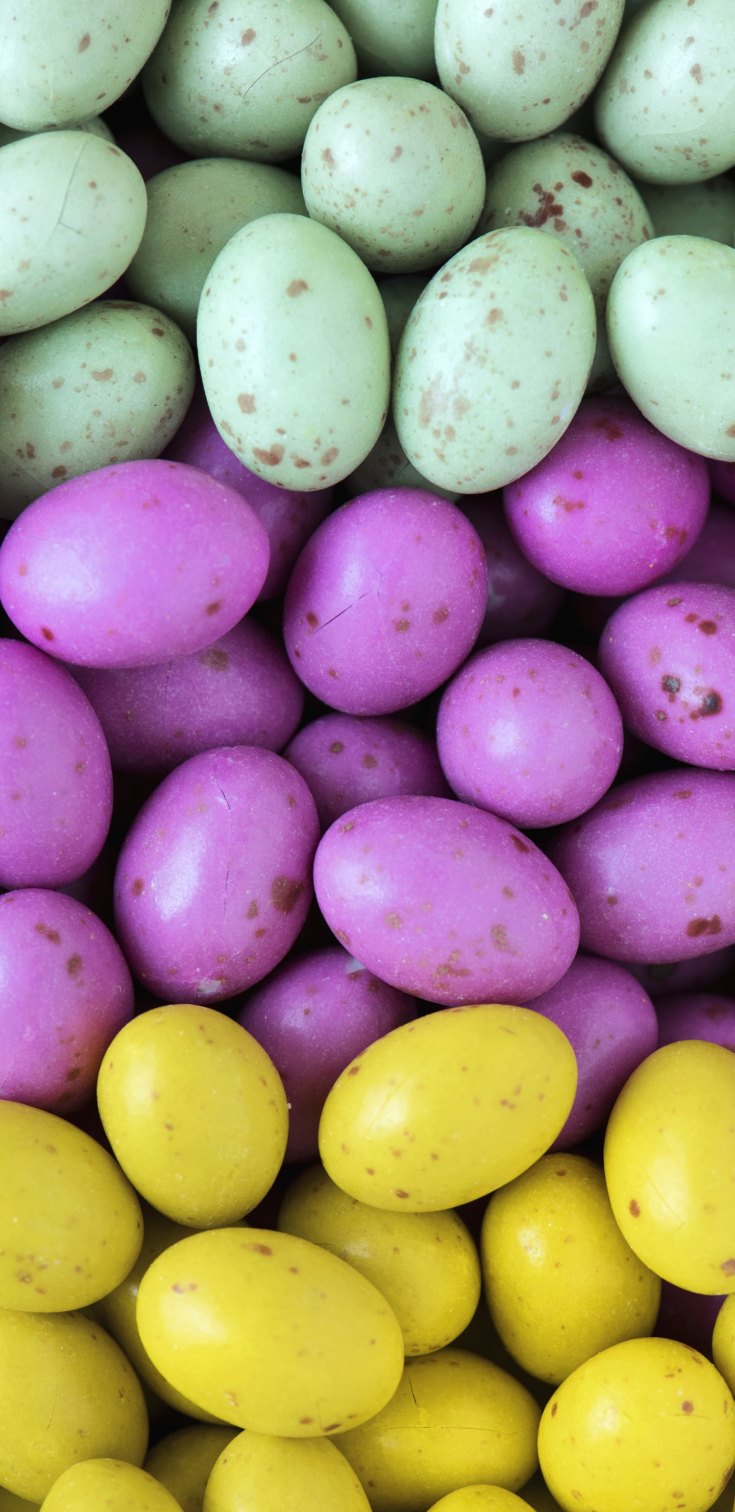 Обои кондитерское изделие, местное блюдо, леденец, пасхальное яйцо, Соленое утиное яйцо в разрешении 1440x2960