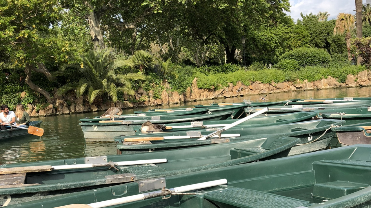 Обои отражение, водоем, судно, водный путь, растительное сообщество в разрешении 1280x720