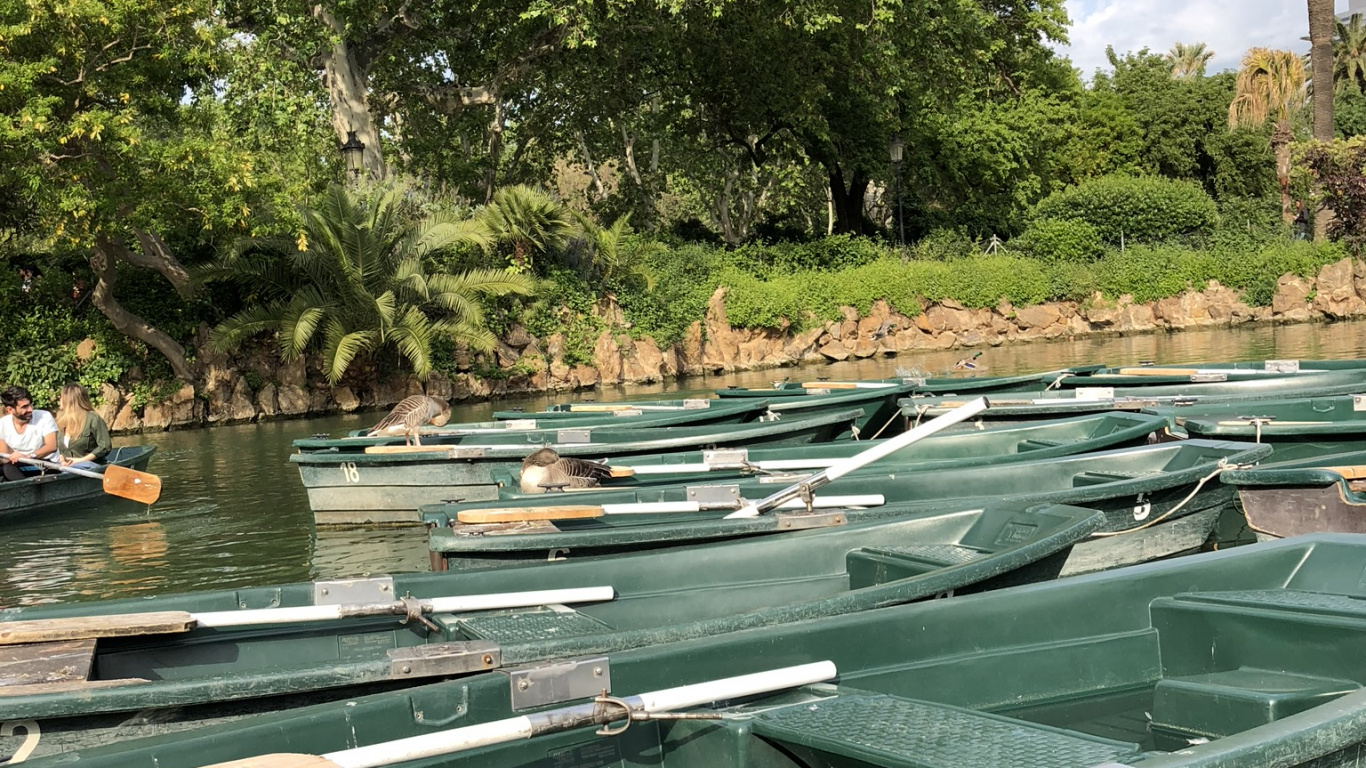 Обои отражение, водоем, судно, водный путь, растительное сообщество в разрешении 1366x768