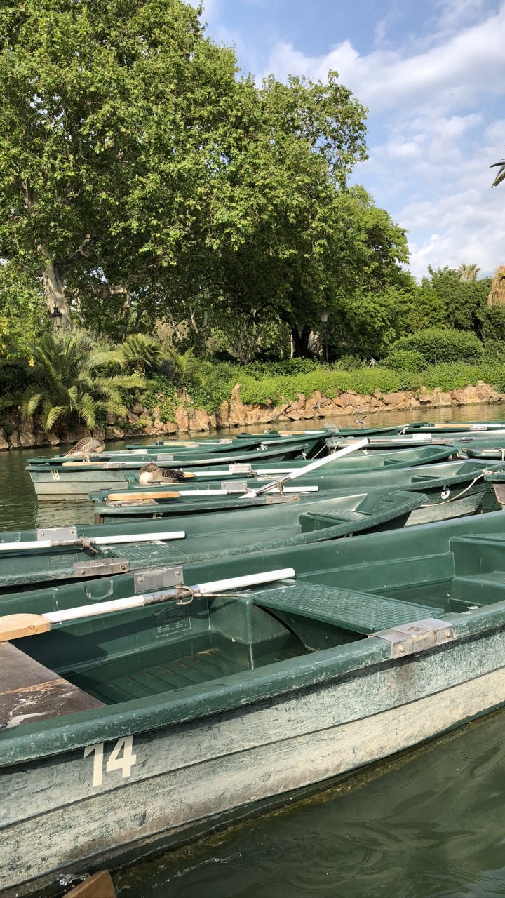 Обои отражение, водоем, судно, водный путь, растительное сообщество в разрешении 720x1280