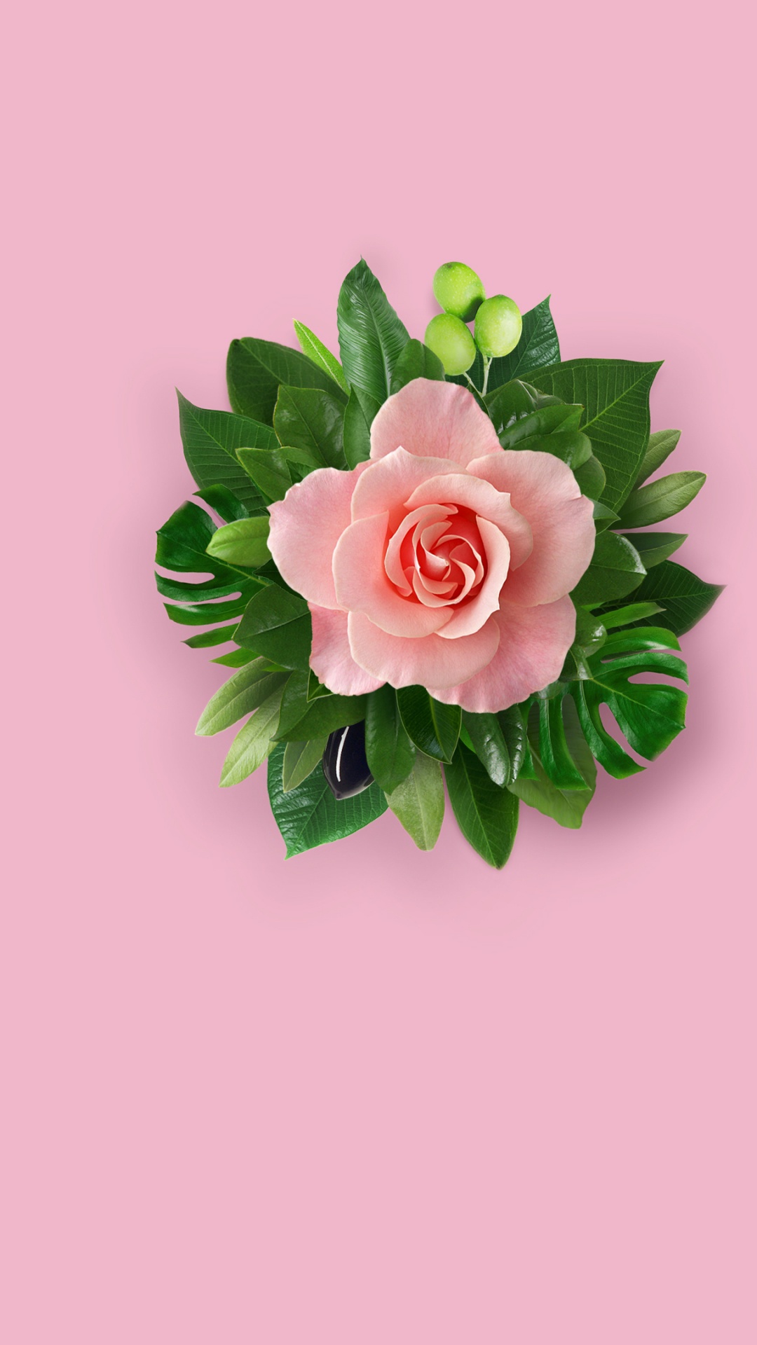 Обои Huawei, Huawei Nova, Huawei Nova 2, Huawei Mate 10, лепесток в разрешении 1080x1920