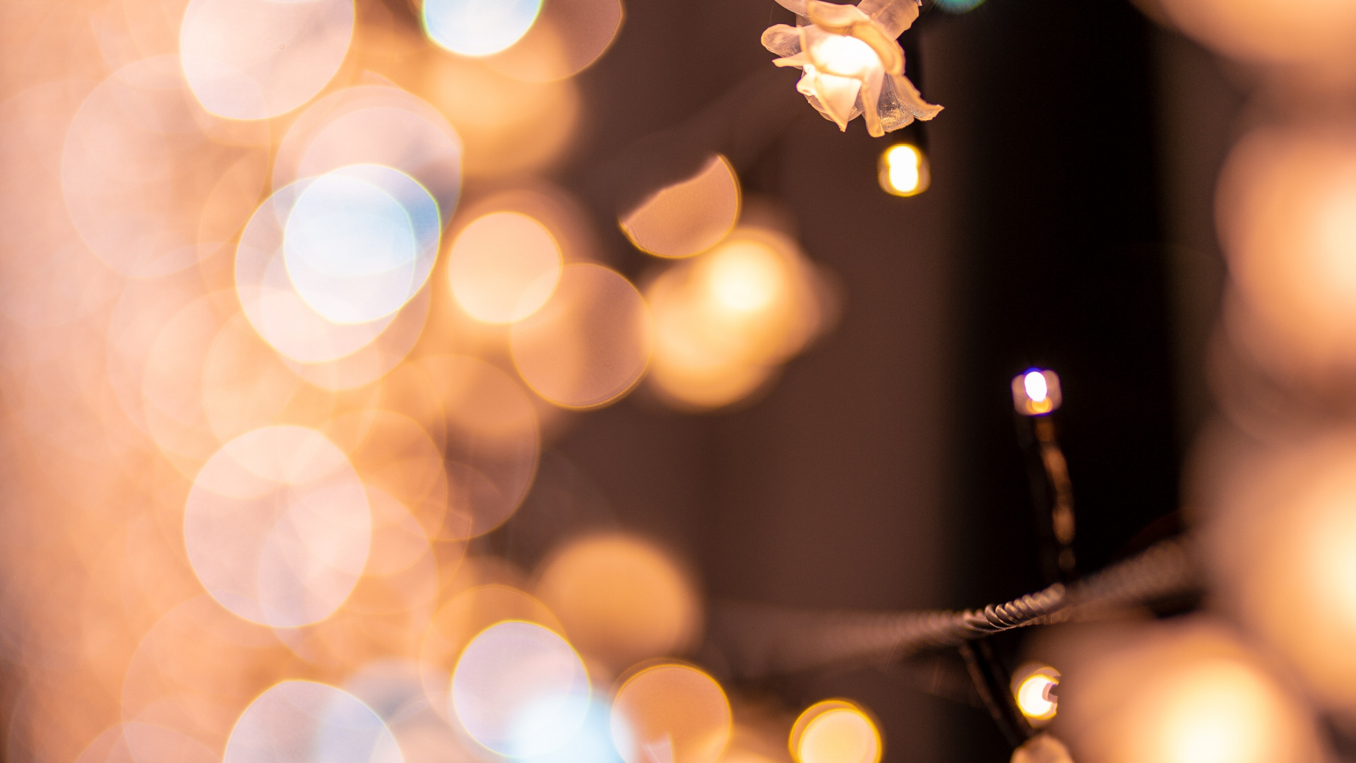 Обои свет, освещение, дерево, Рождество, дизайн интерьера в разрешении 1920x1080