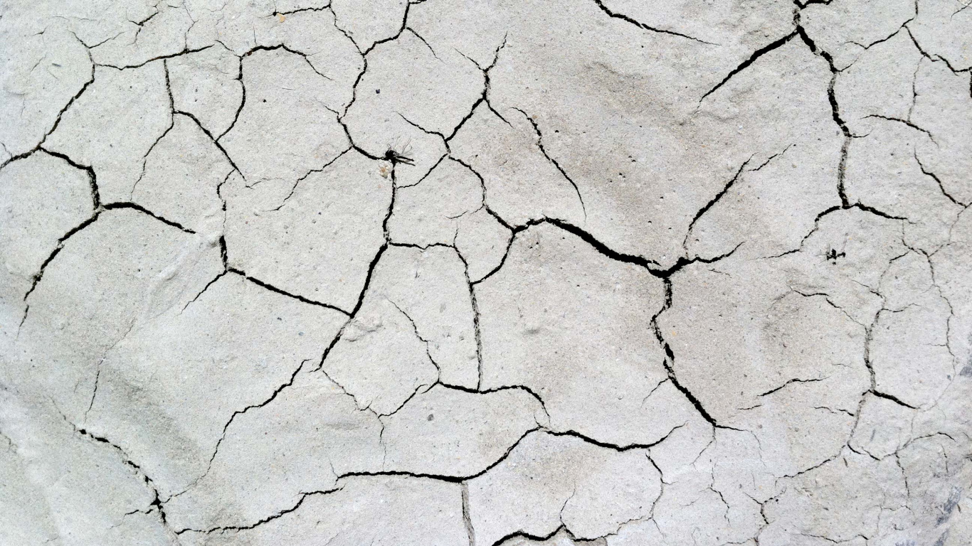 Обои засуха, векторная графика, почва, иллюстрации, черный и белый в разрешении 1366x768