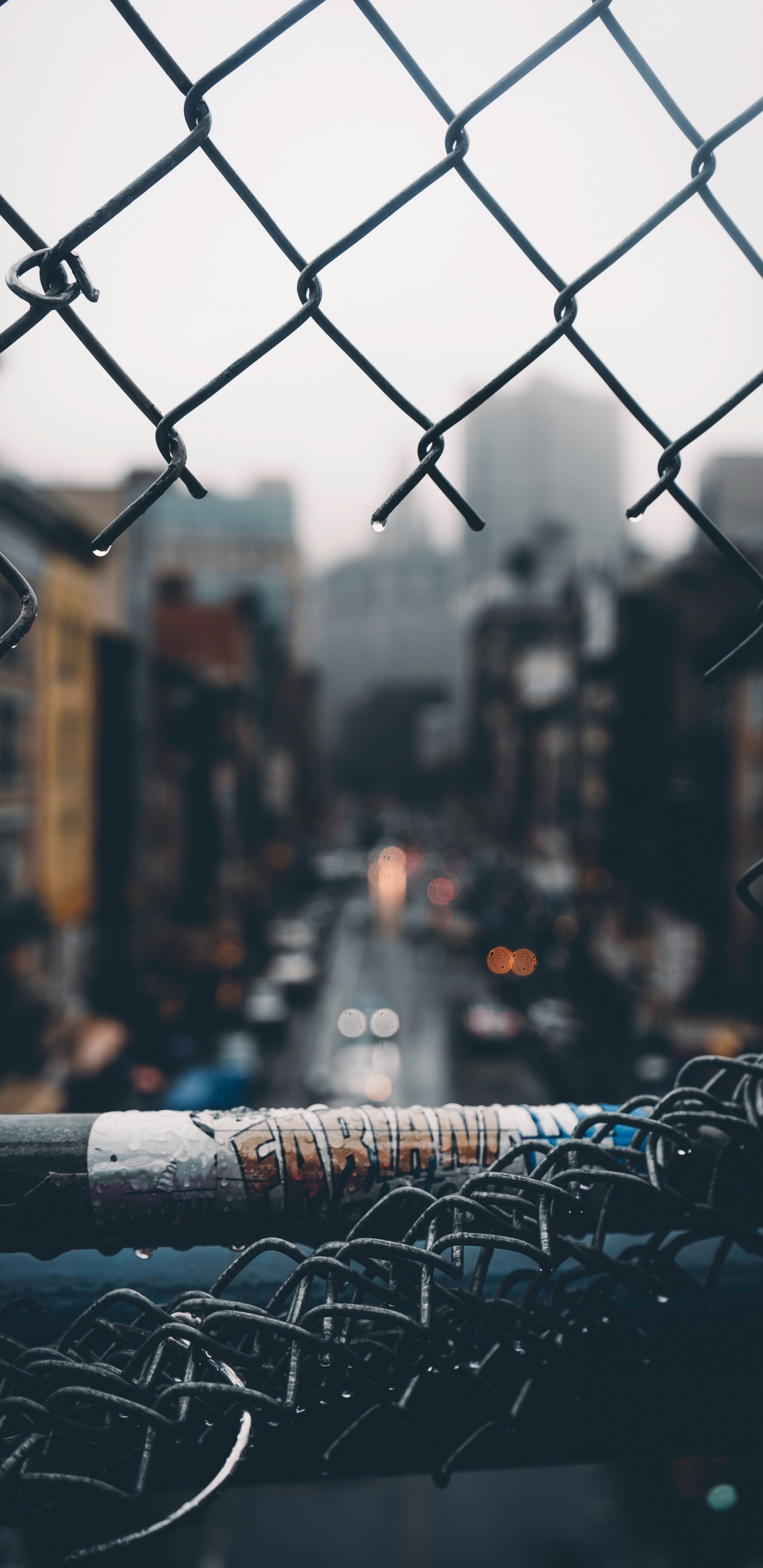 Обои редактирование, городской район, архитектура, город, дерево в разрешении 1440x2960