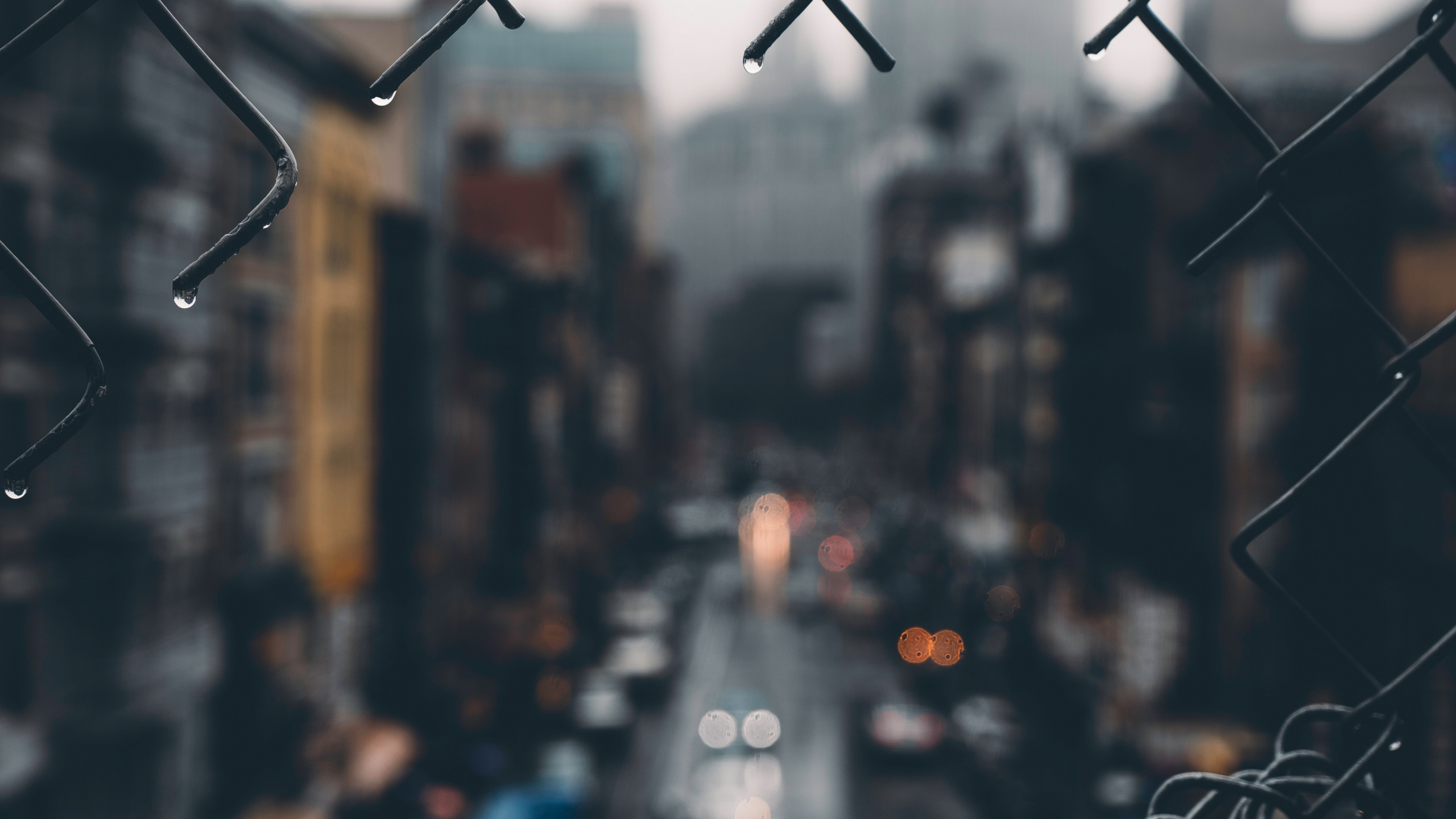 Обои редактирование, городской район, архитектура, город, дерево в разрешении 2560x1440