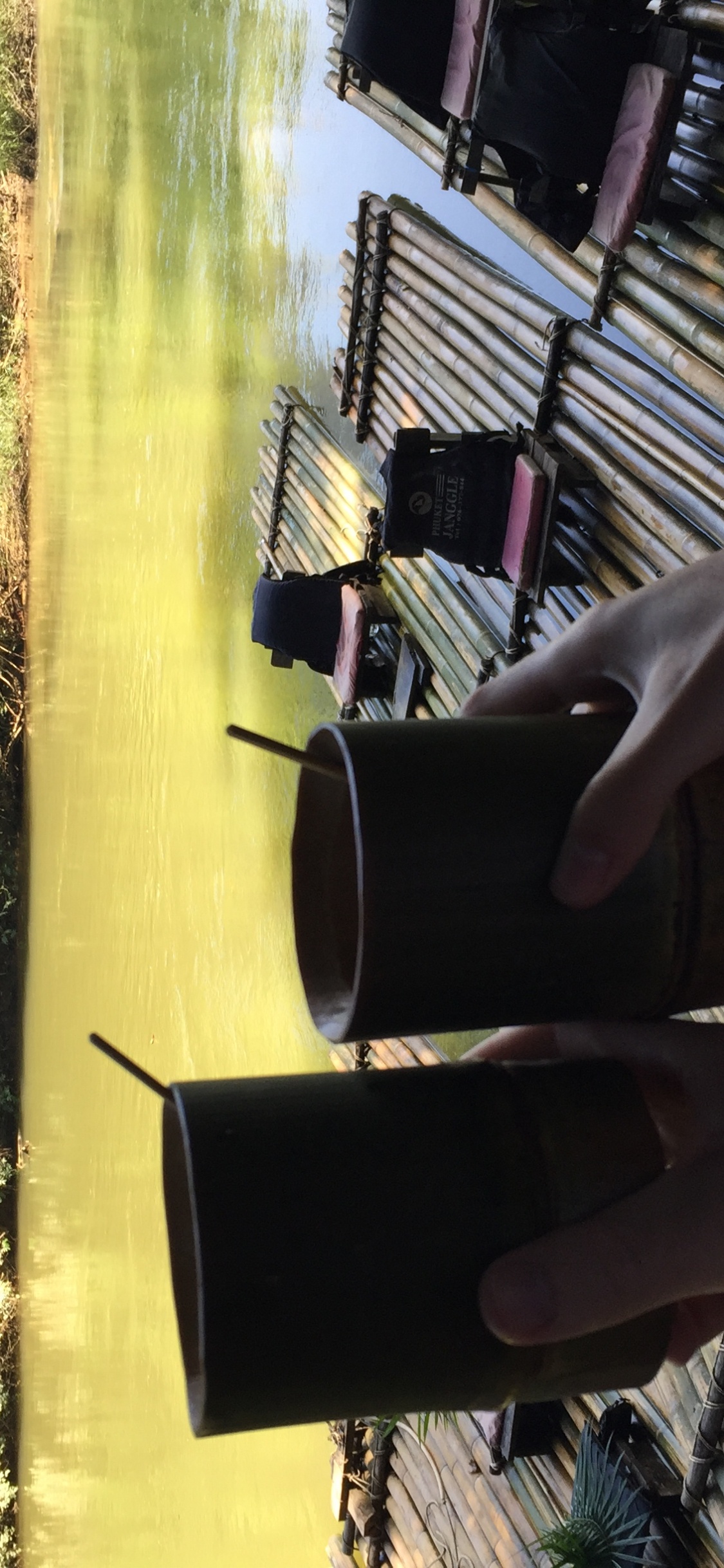 Обои дерево, солнечный свет, ноги в разрешении 1125x2436