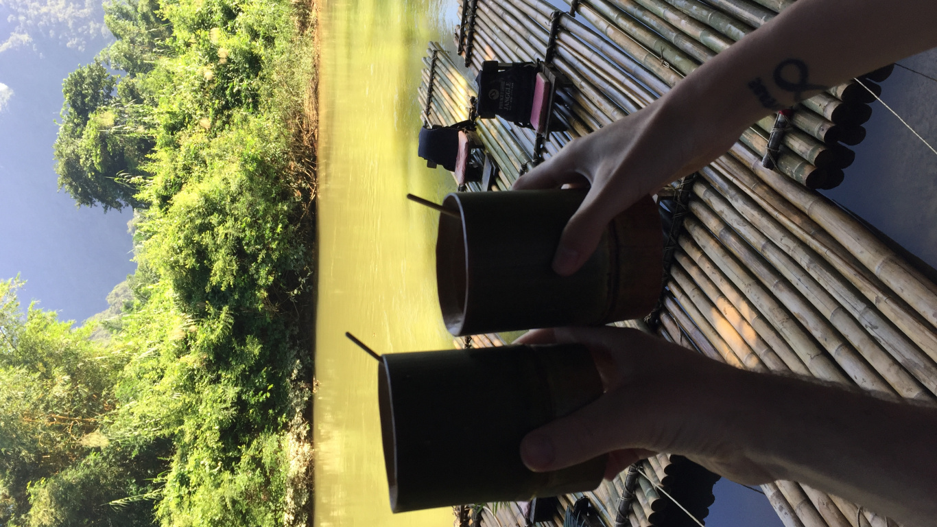 Обои дерево, солнечный свет, ноги в разрешении 1366x768