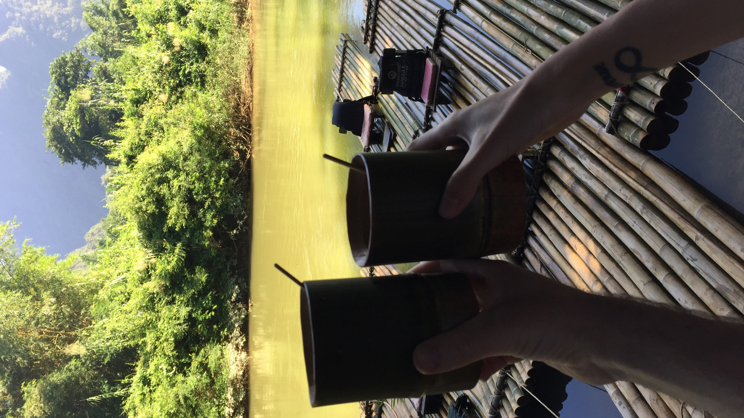 Обои дерево, солнечный свет, ноги в разрешении 2560x1440