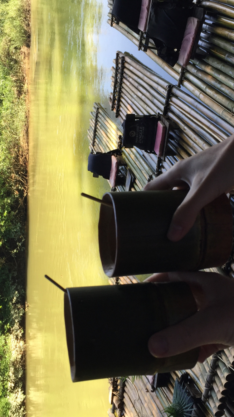 Обои дерево, солнечный свет, ноги в разрешении 750x1334