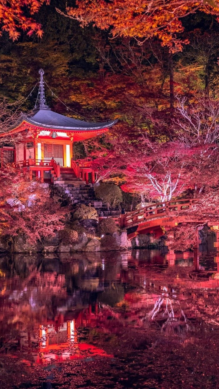 Обои природа, растение, ботаники, мир, ветвь в разрешении 750x1334