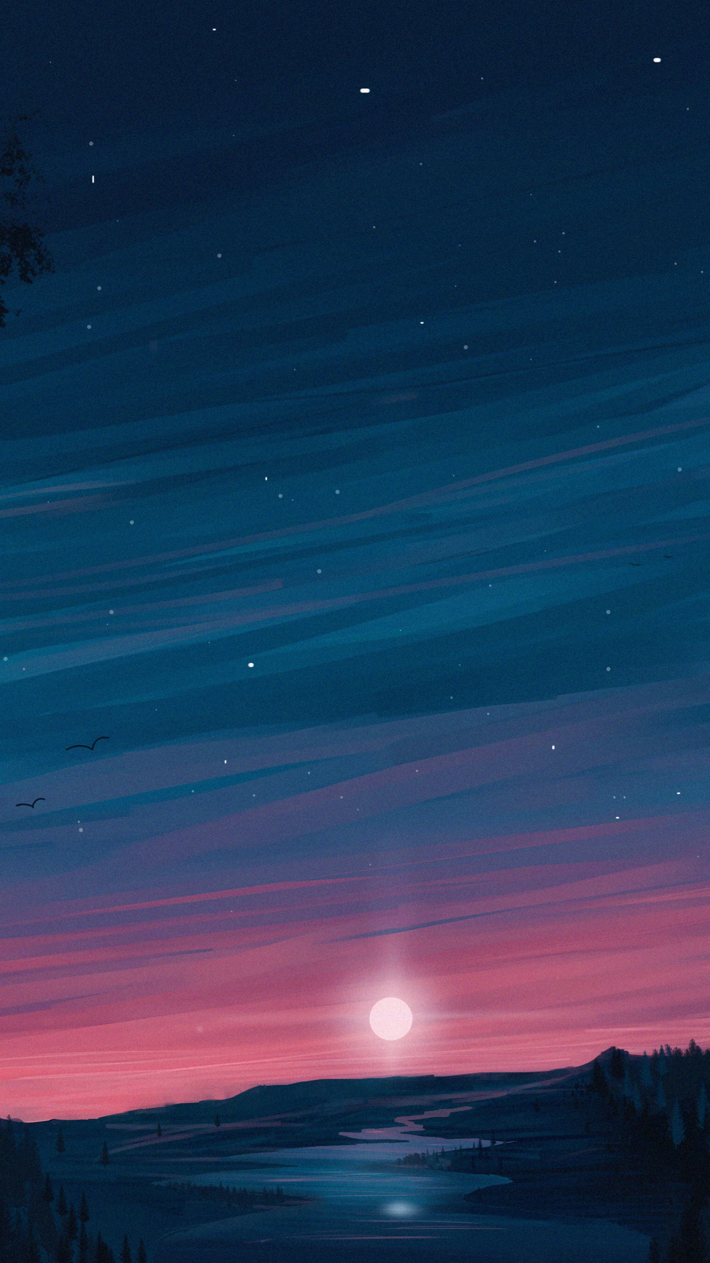 Обои Аврора, ночь, облако, природа, полночь в разрешении 1440x2560